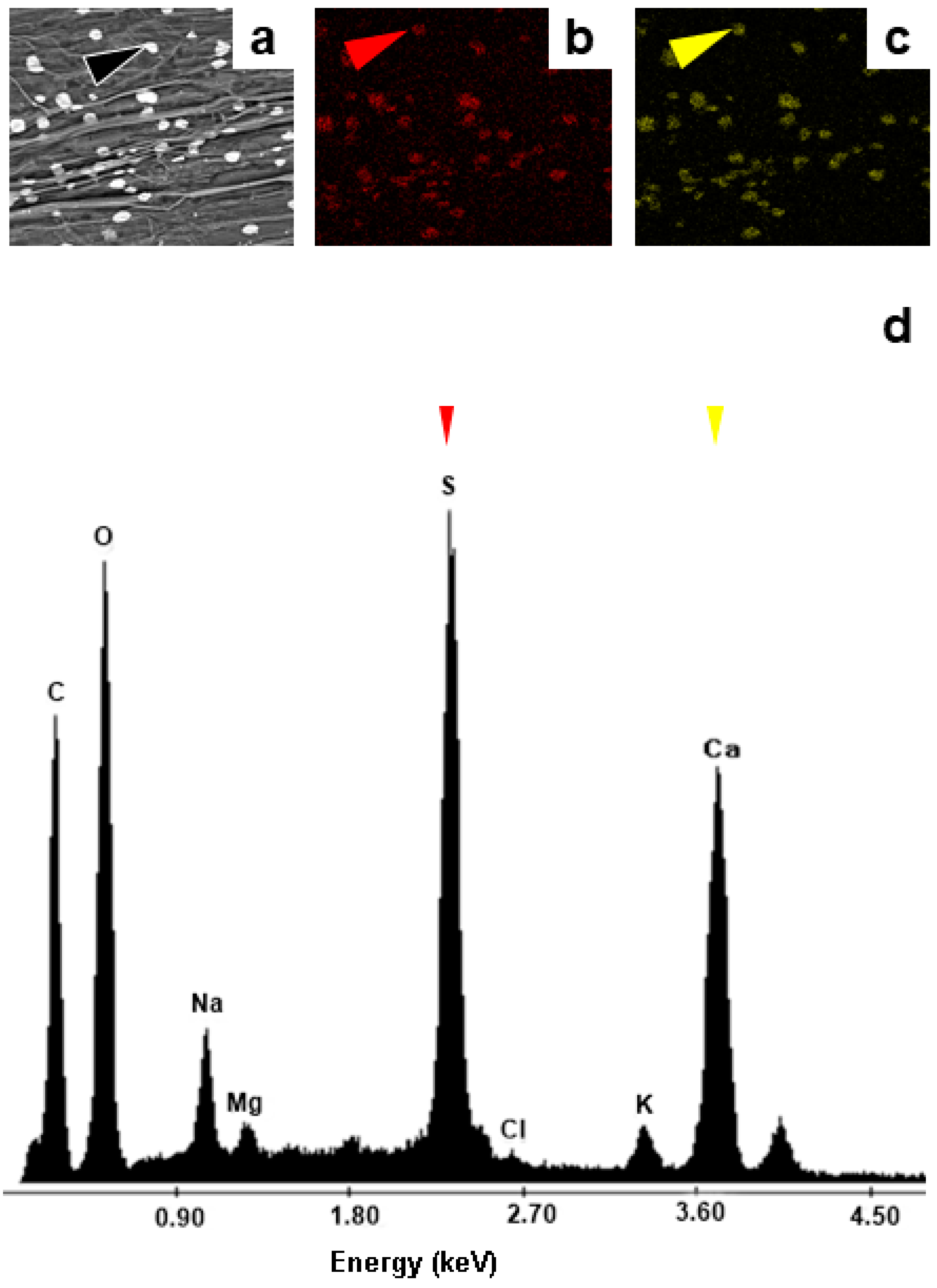 Preprints 121356 g006
