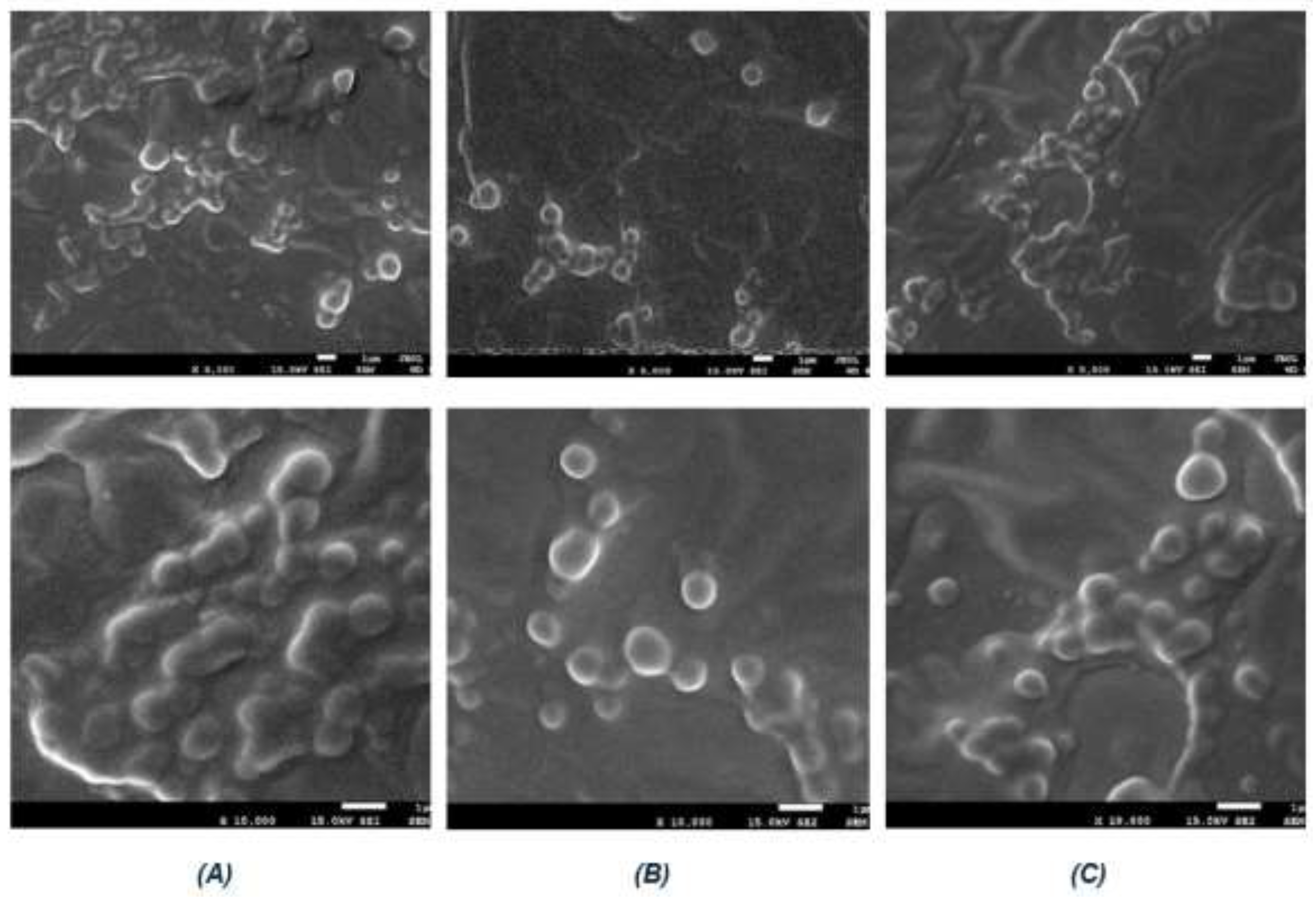 Preprints 200635 g001
