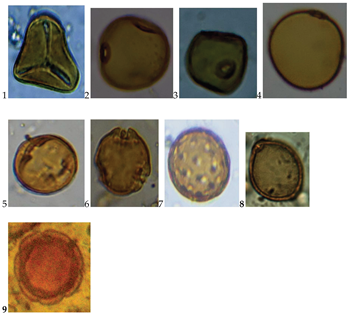 Preprints 200068 i001