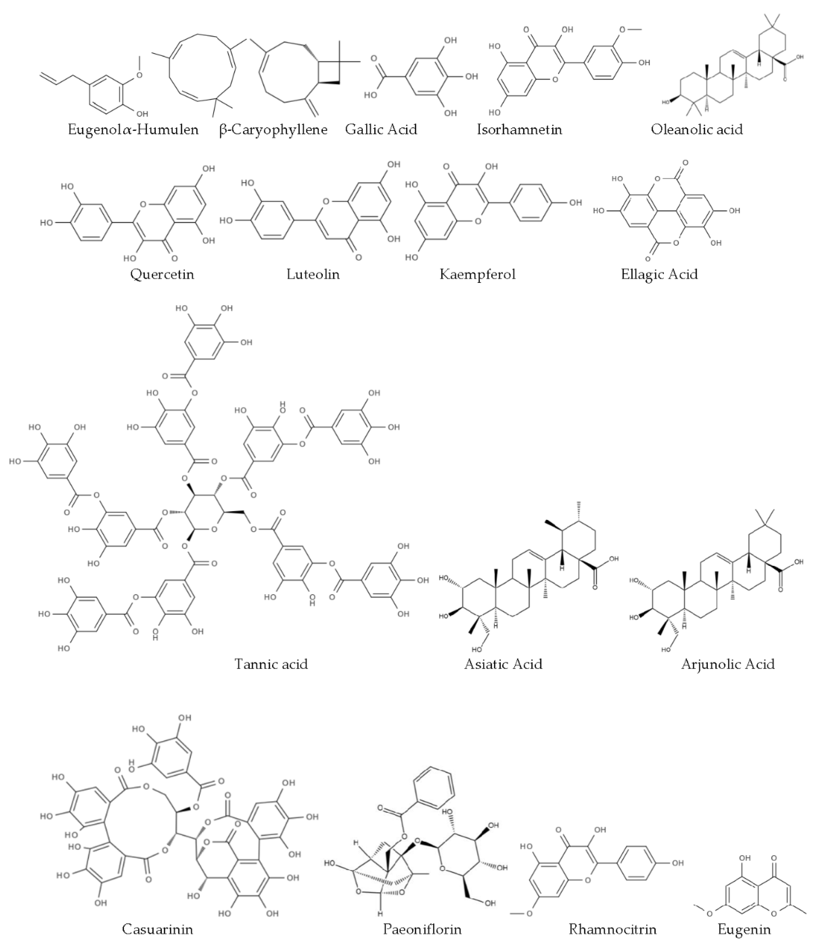 Preprints 152365 g001