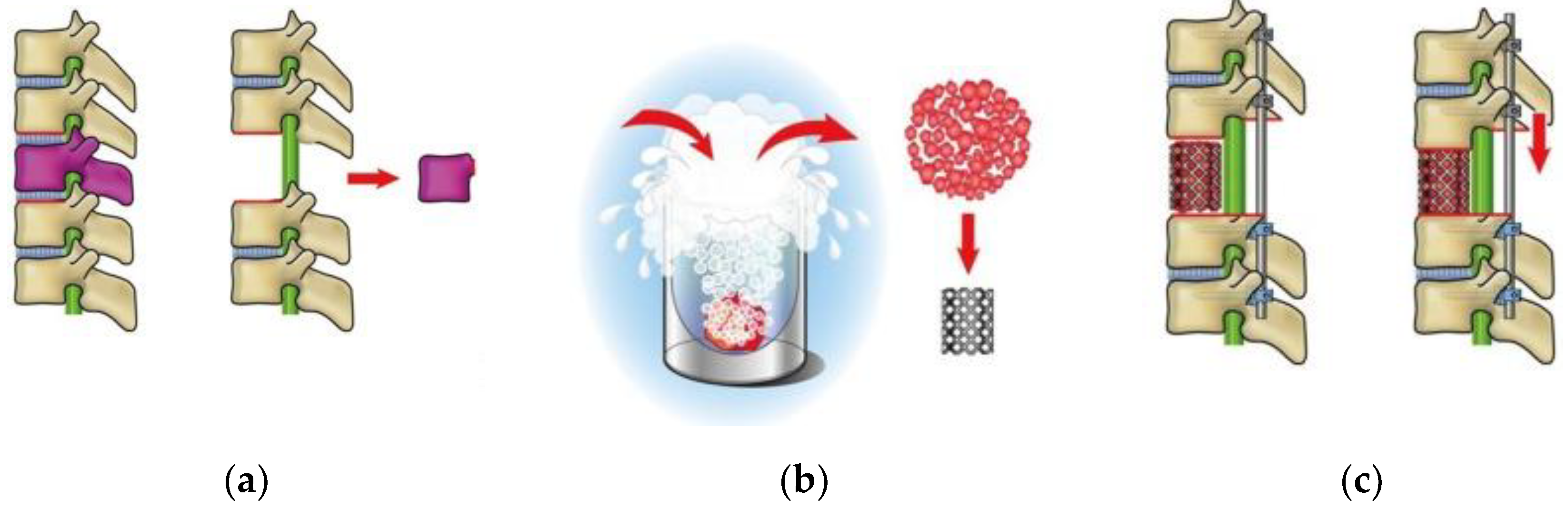 Preprints 163901 g001