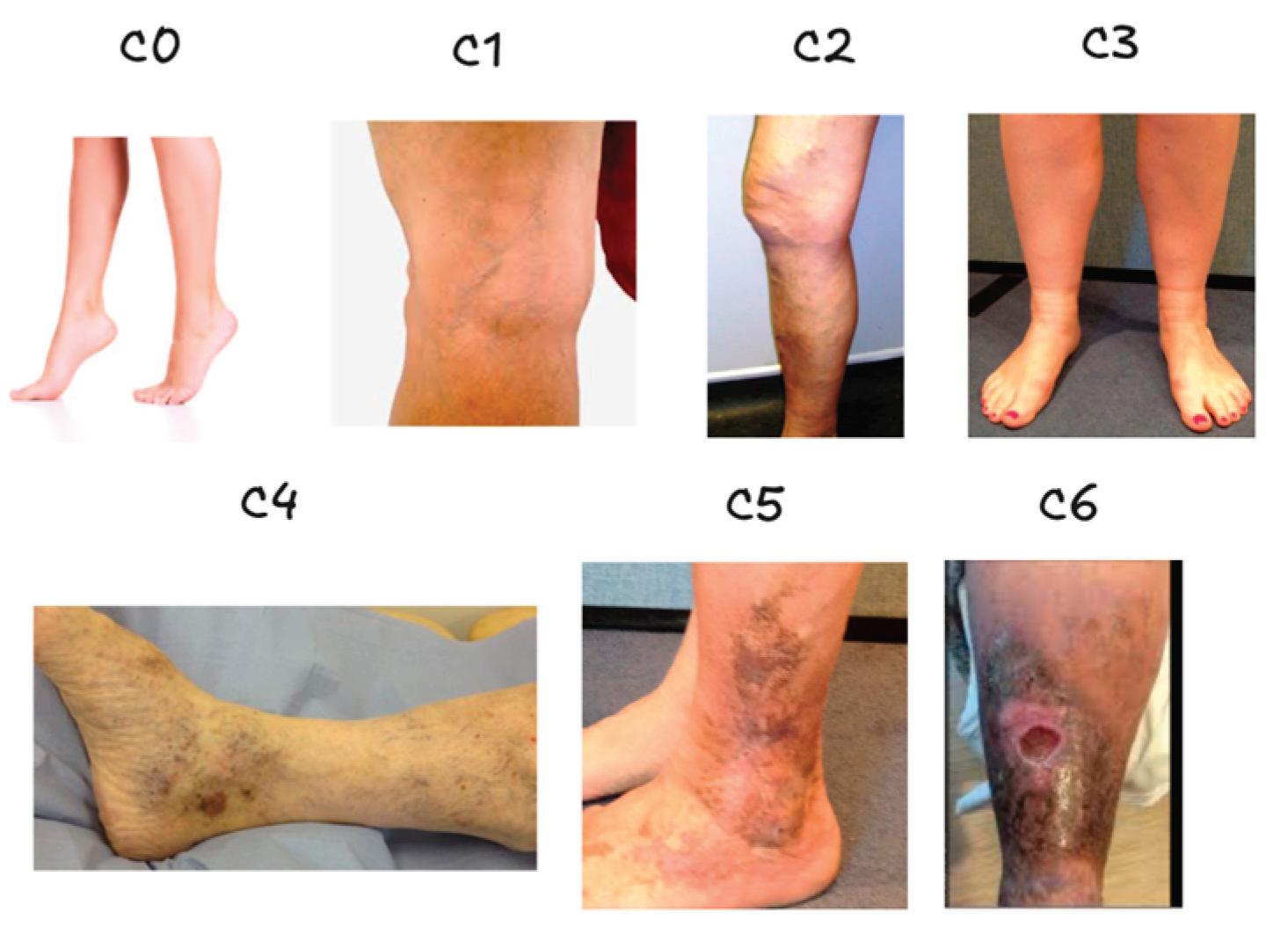 Preprints 206478 g002