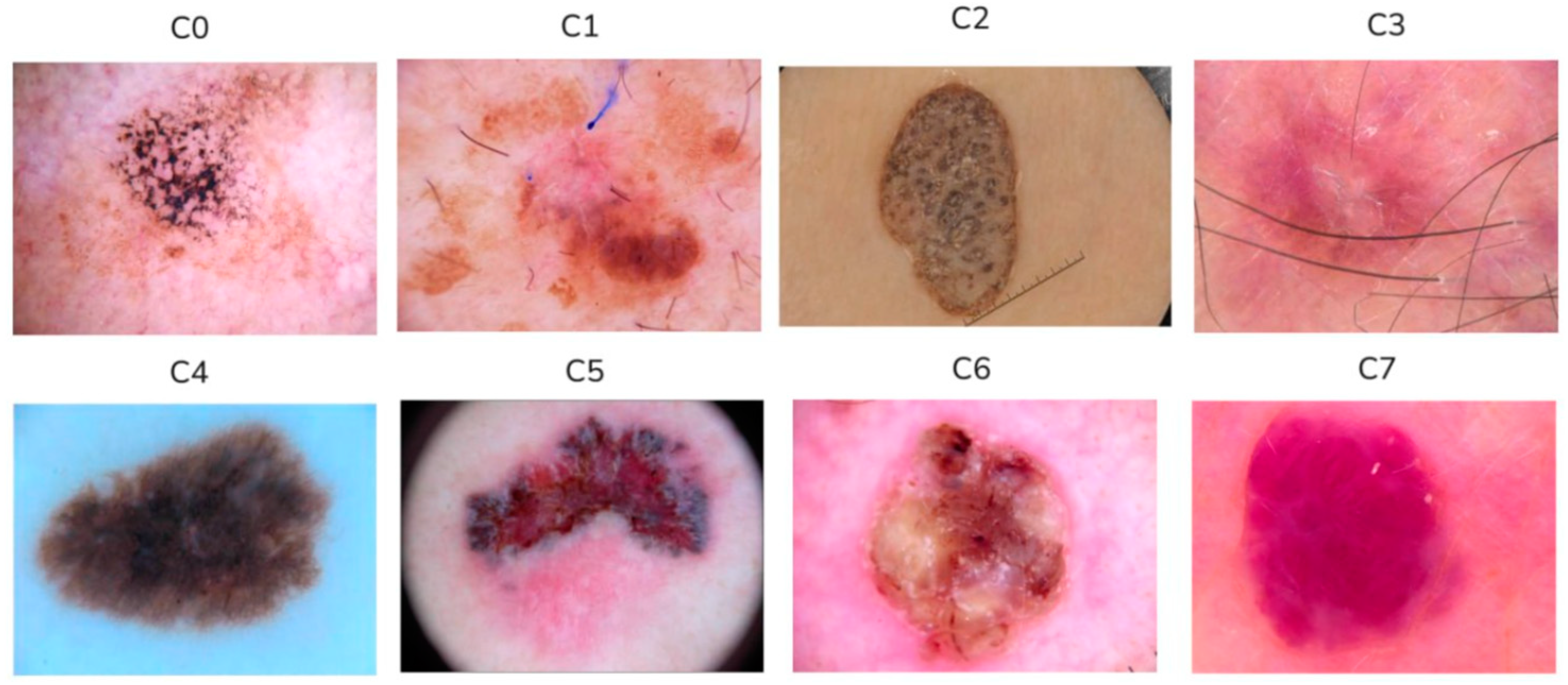 Preprints 206478 g004