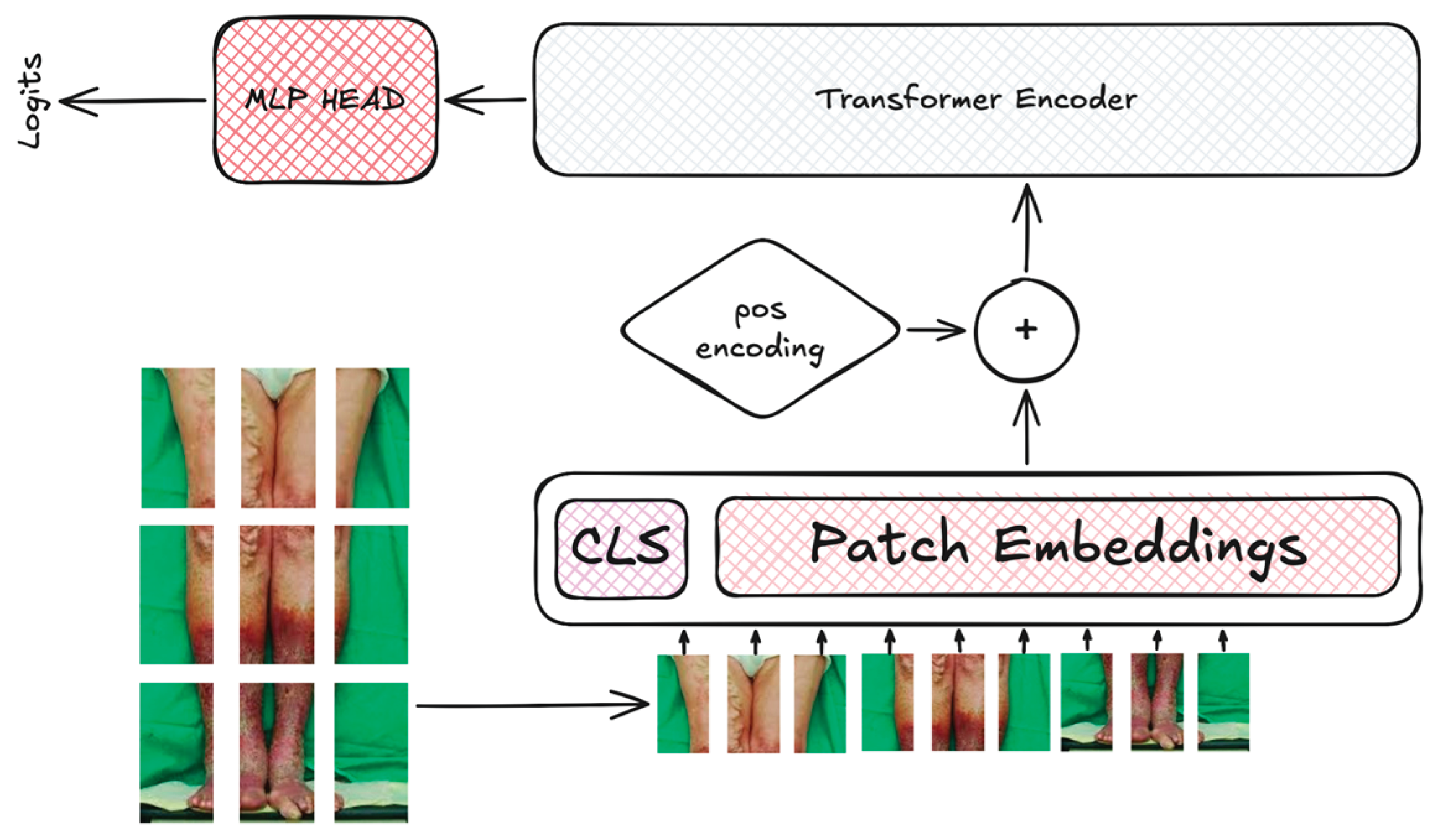 Preprints 206478 g011