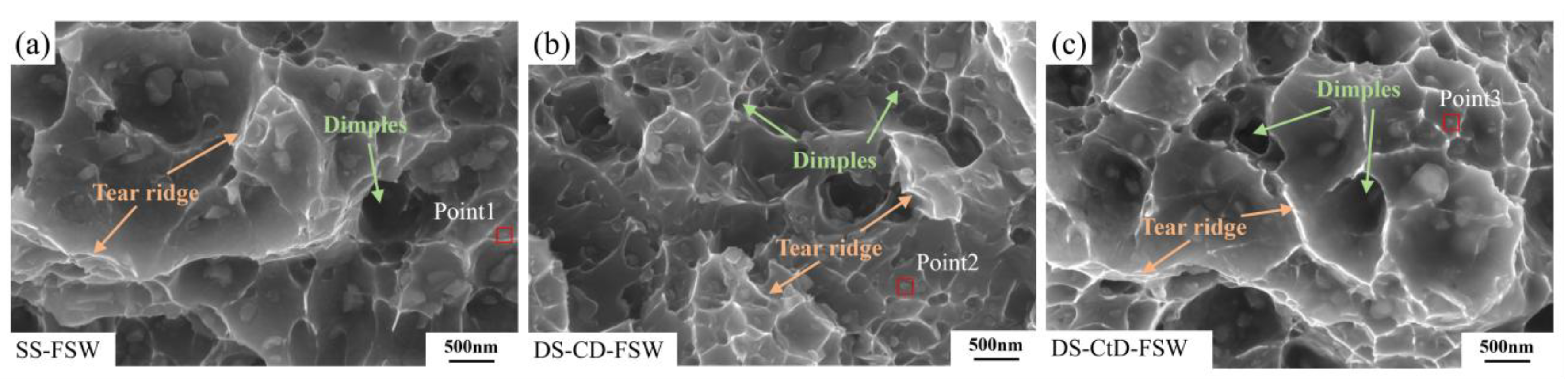 Preprints 190861 g015