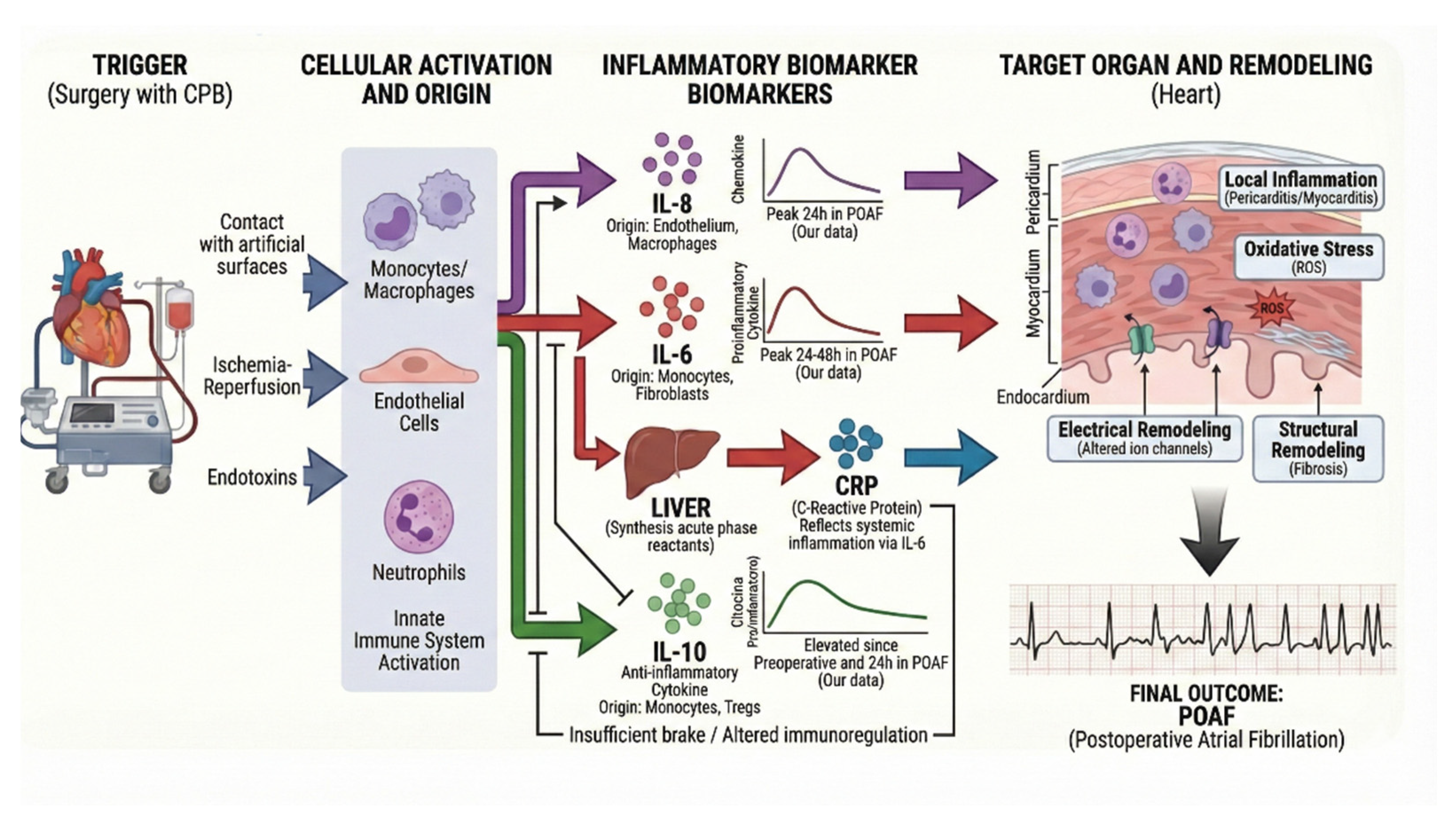 Preprints 206251 g003