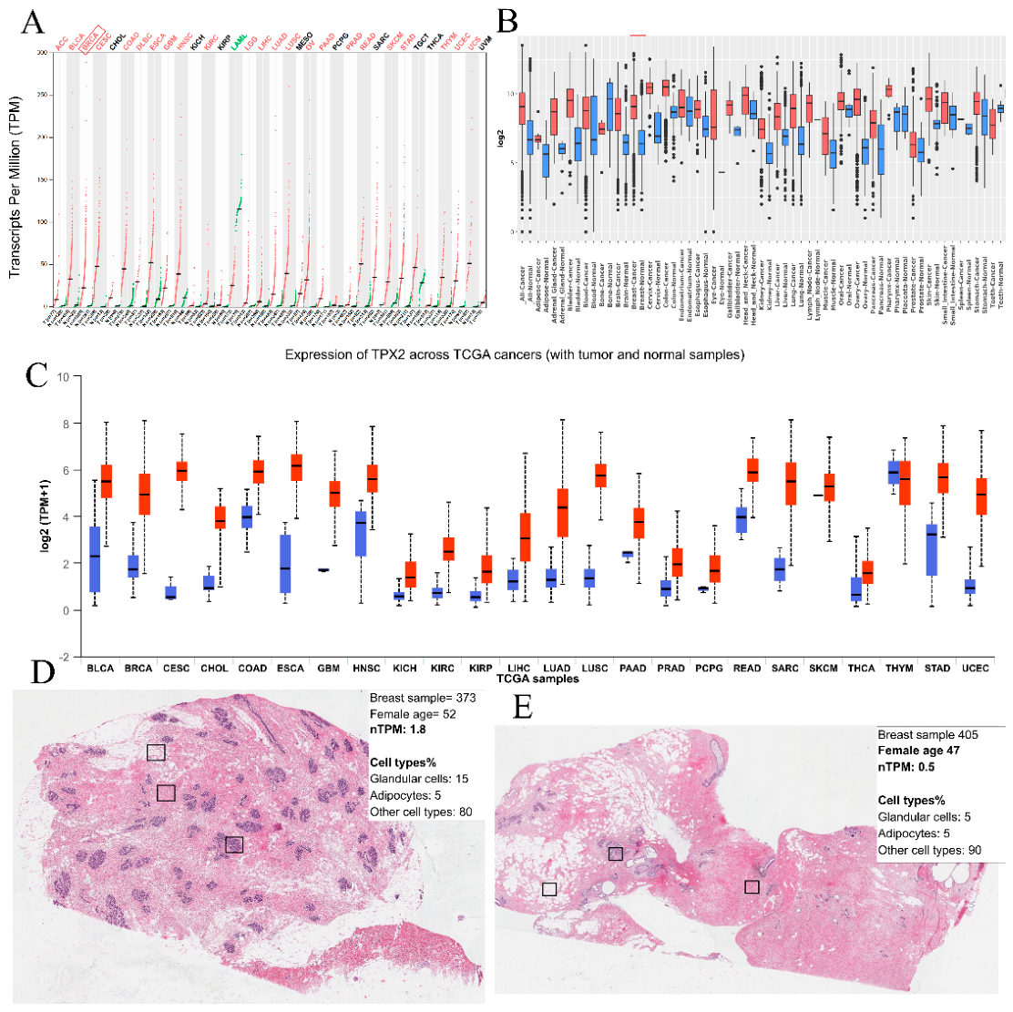 Preprints 228879 g001 Preprints 228879 g001