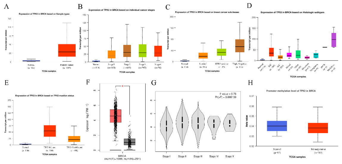 Preprints 228879 g002 Preprints 228879 g002