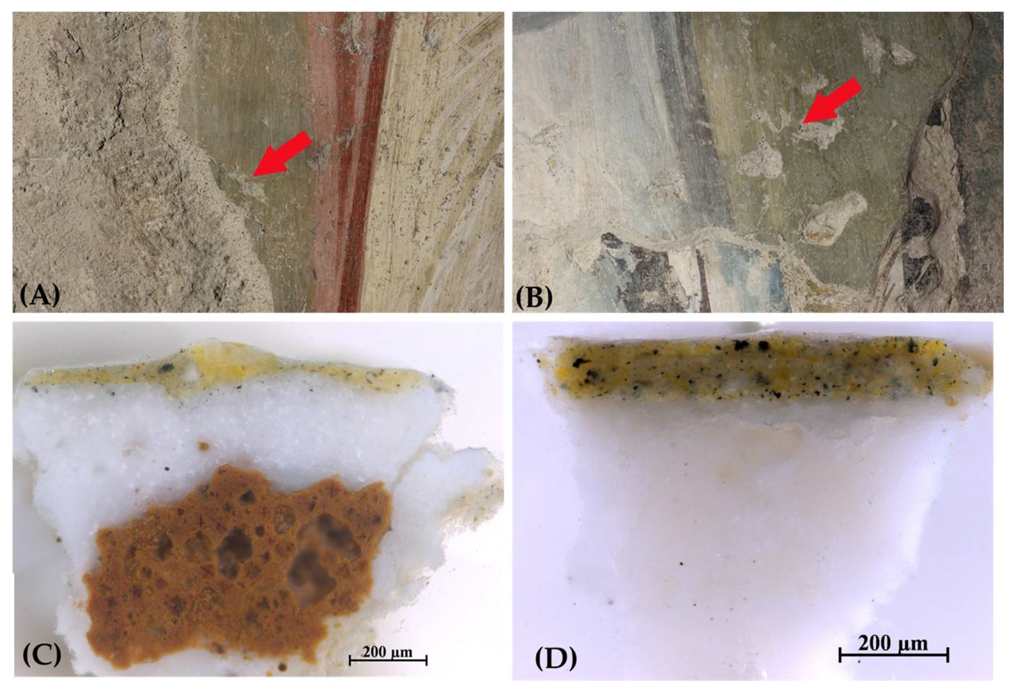Preprints 106819 g011