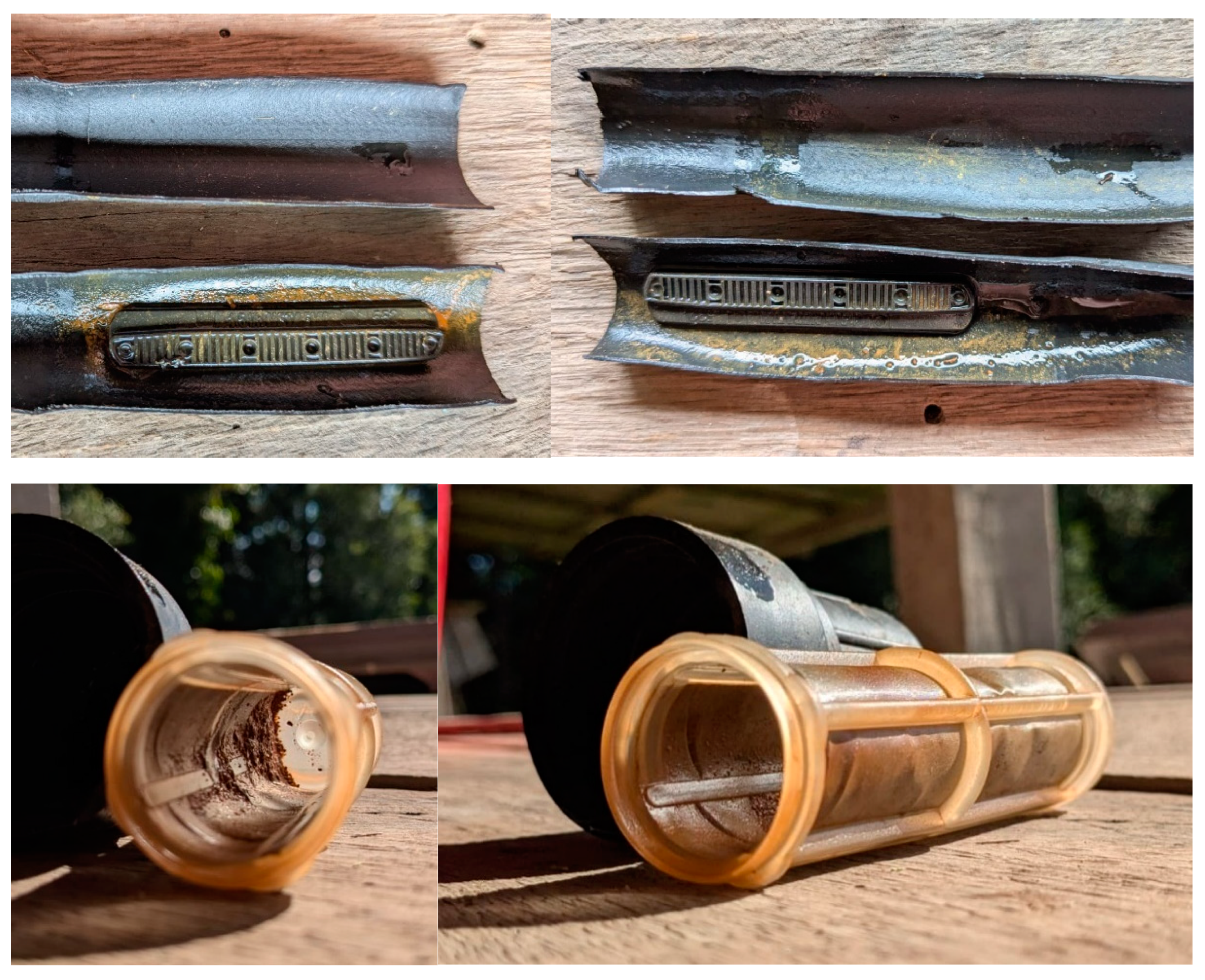 Preprints 145159 g015