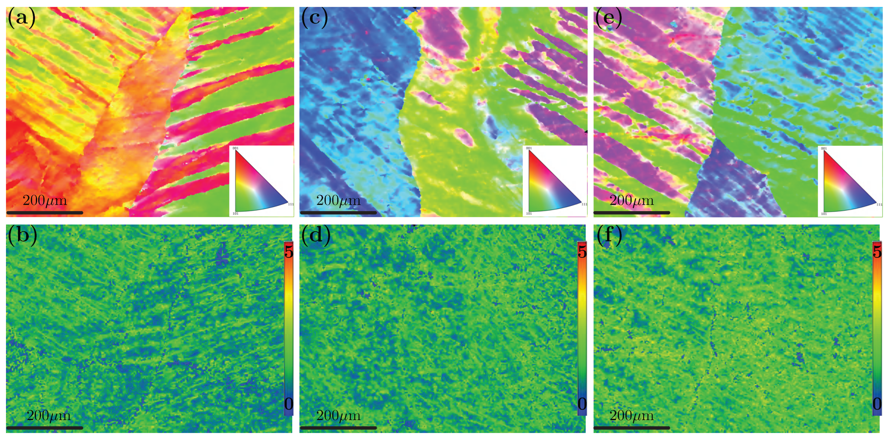 Preprints 182544 g017