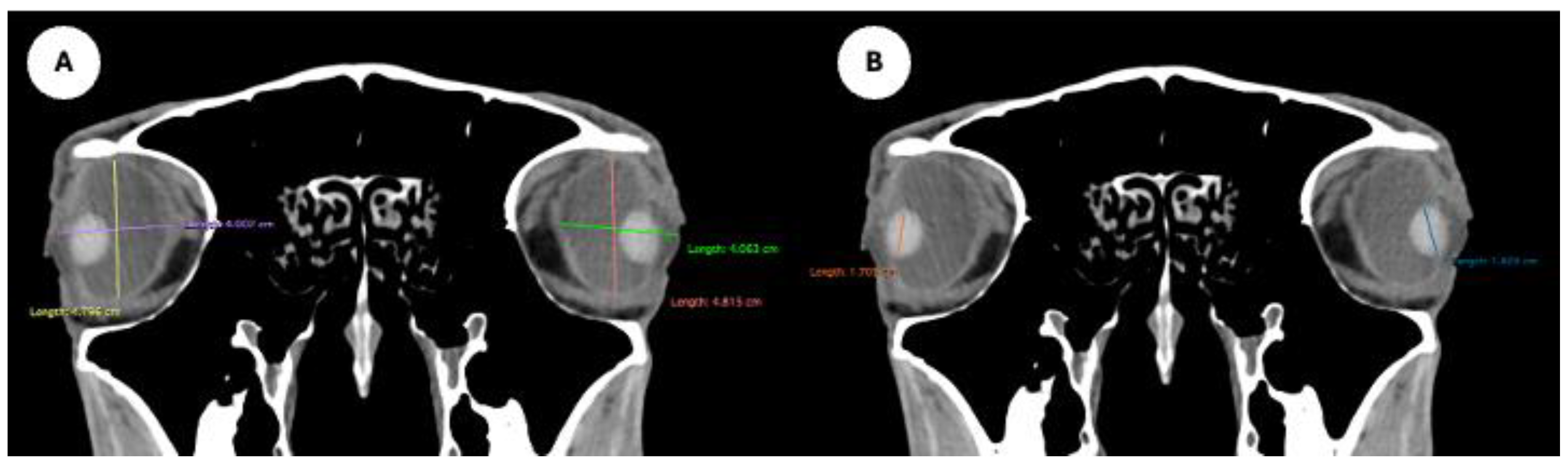 Preprints 170933 g001