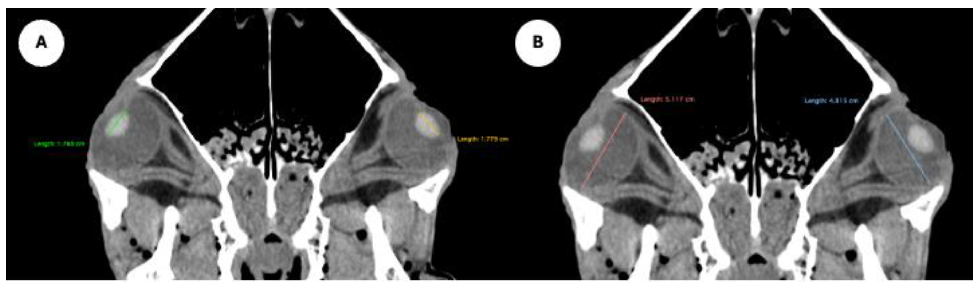 Preprints 170933 g002