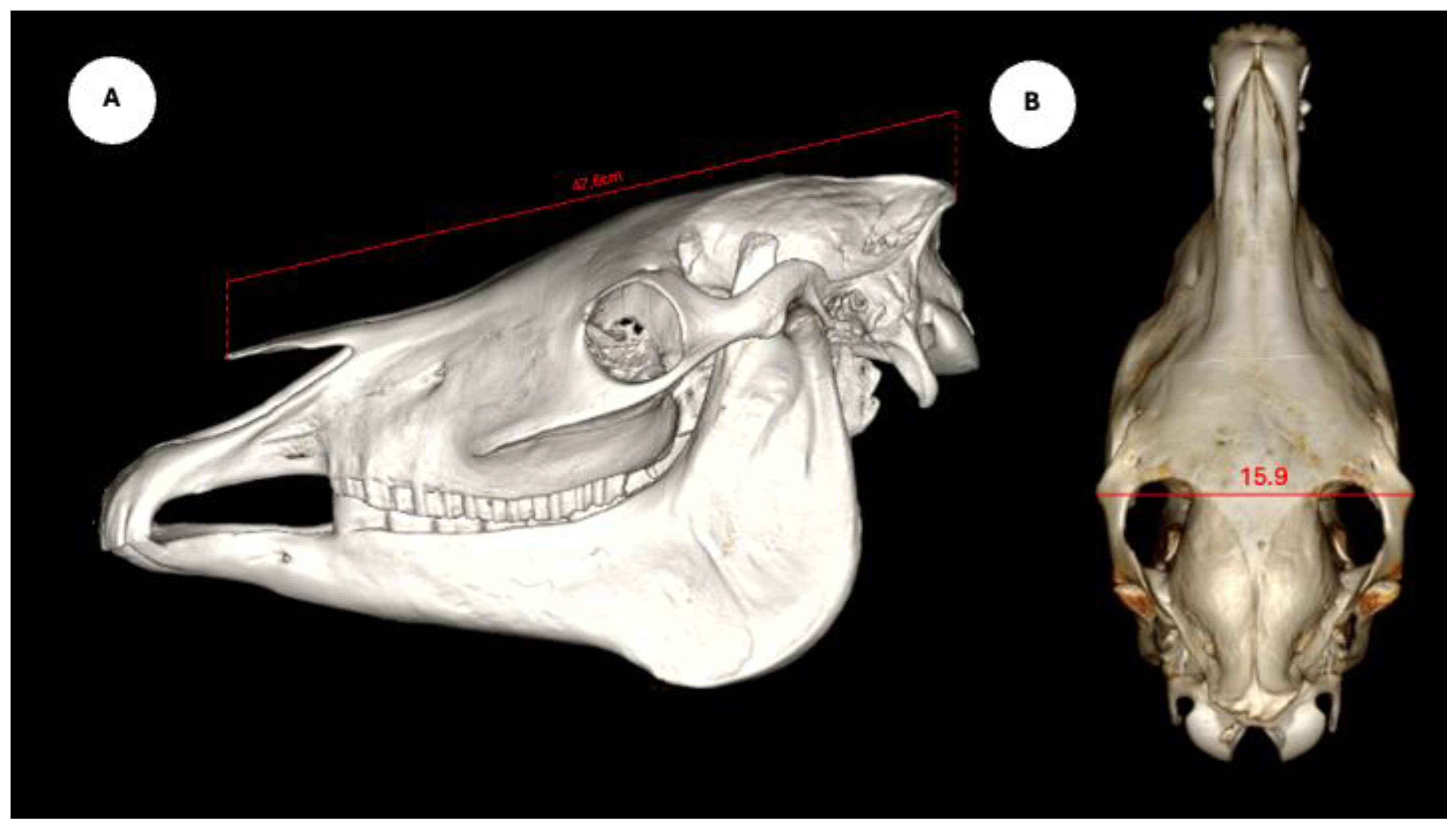 Preprints 170933 g006