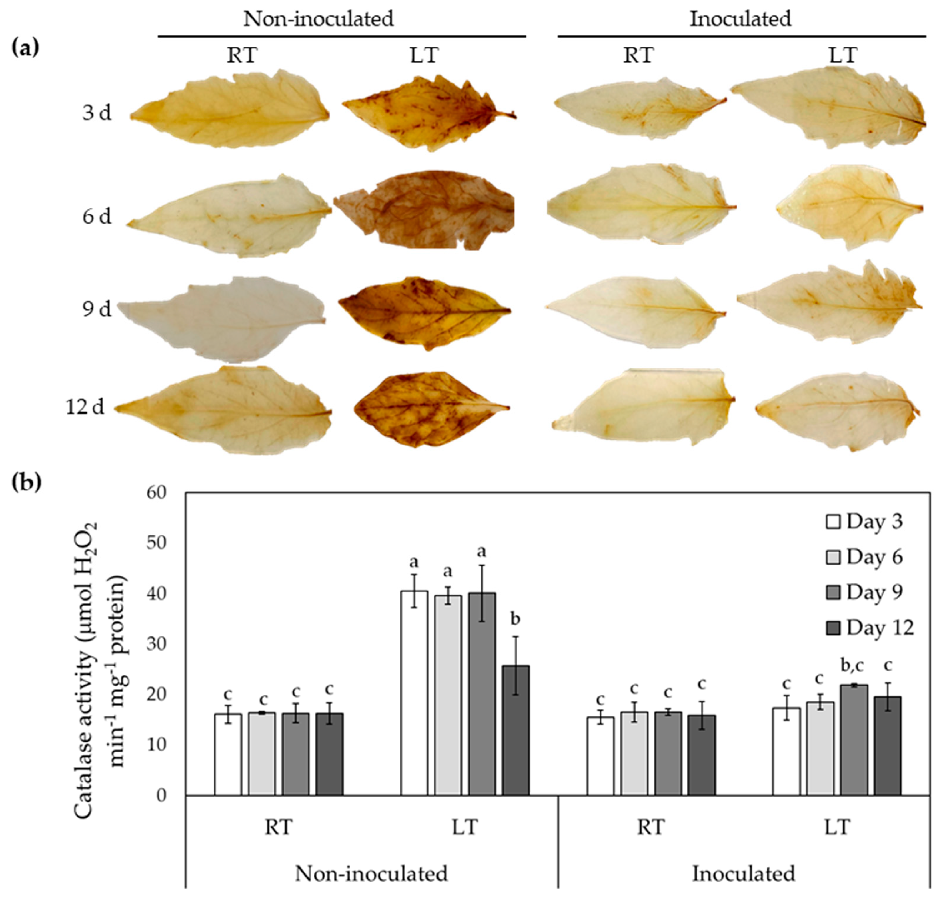 Preprints 185678 g002