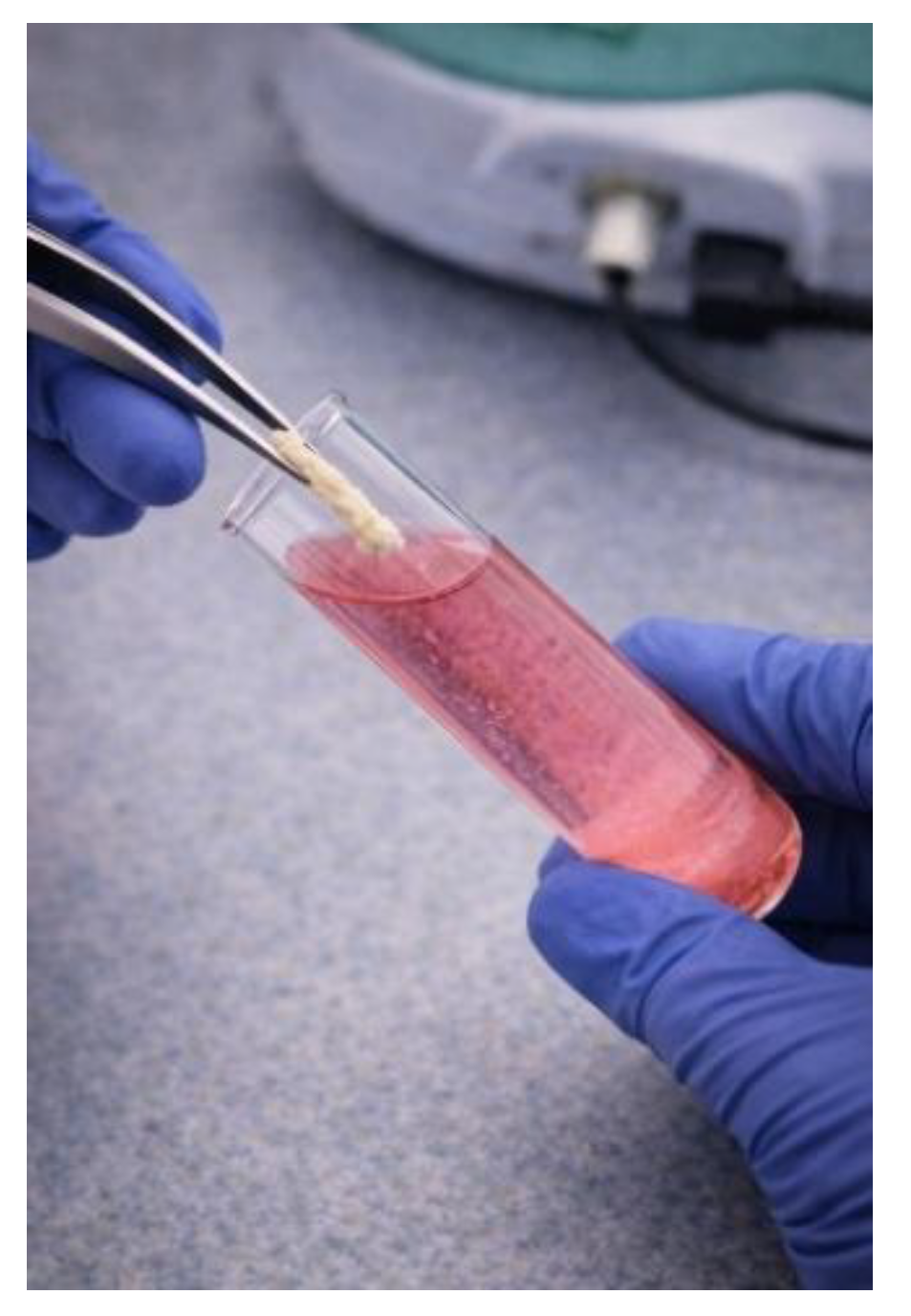 Preprints 194624 g001