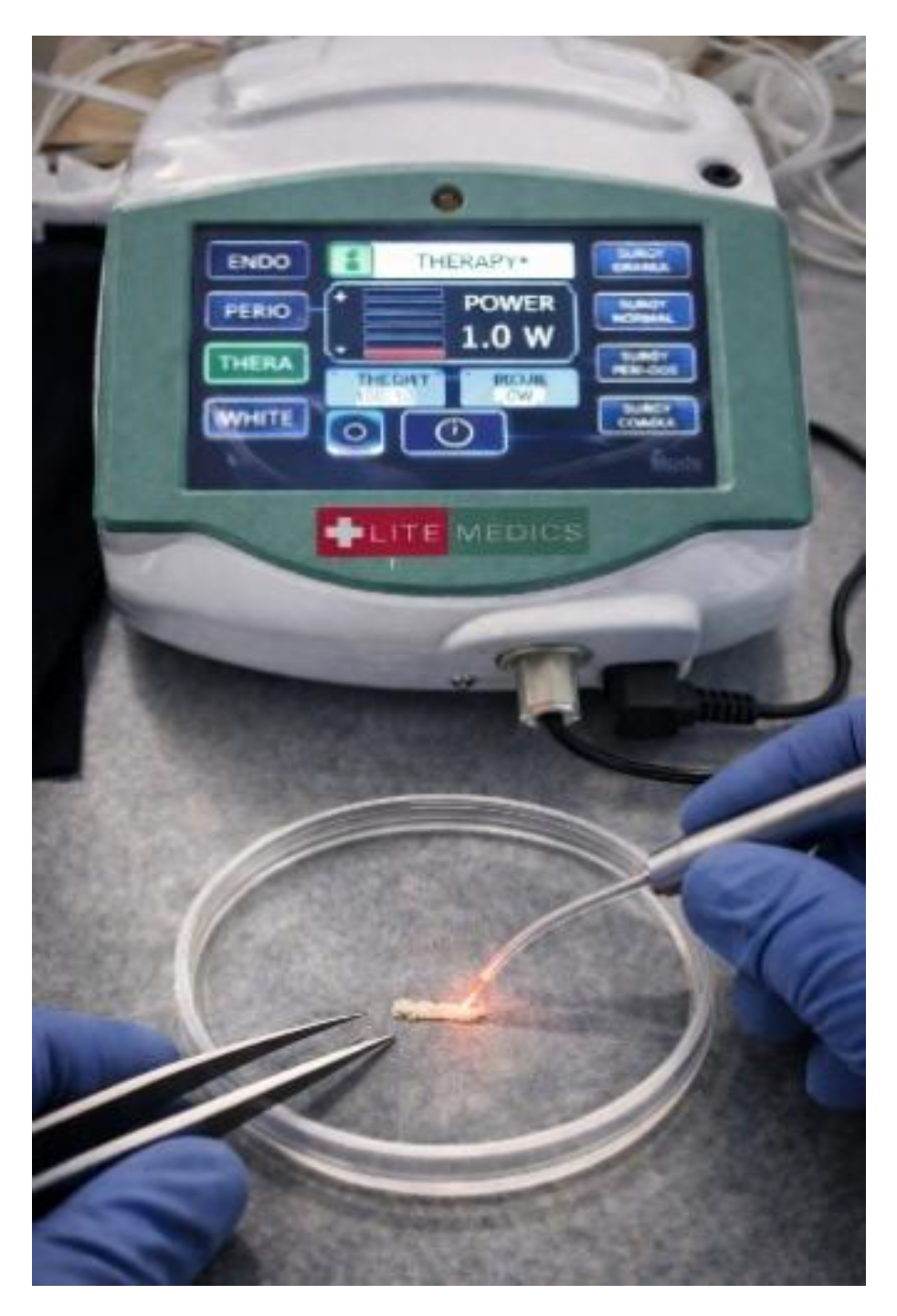 Preprints 194624 g002