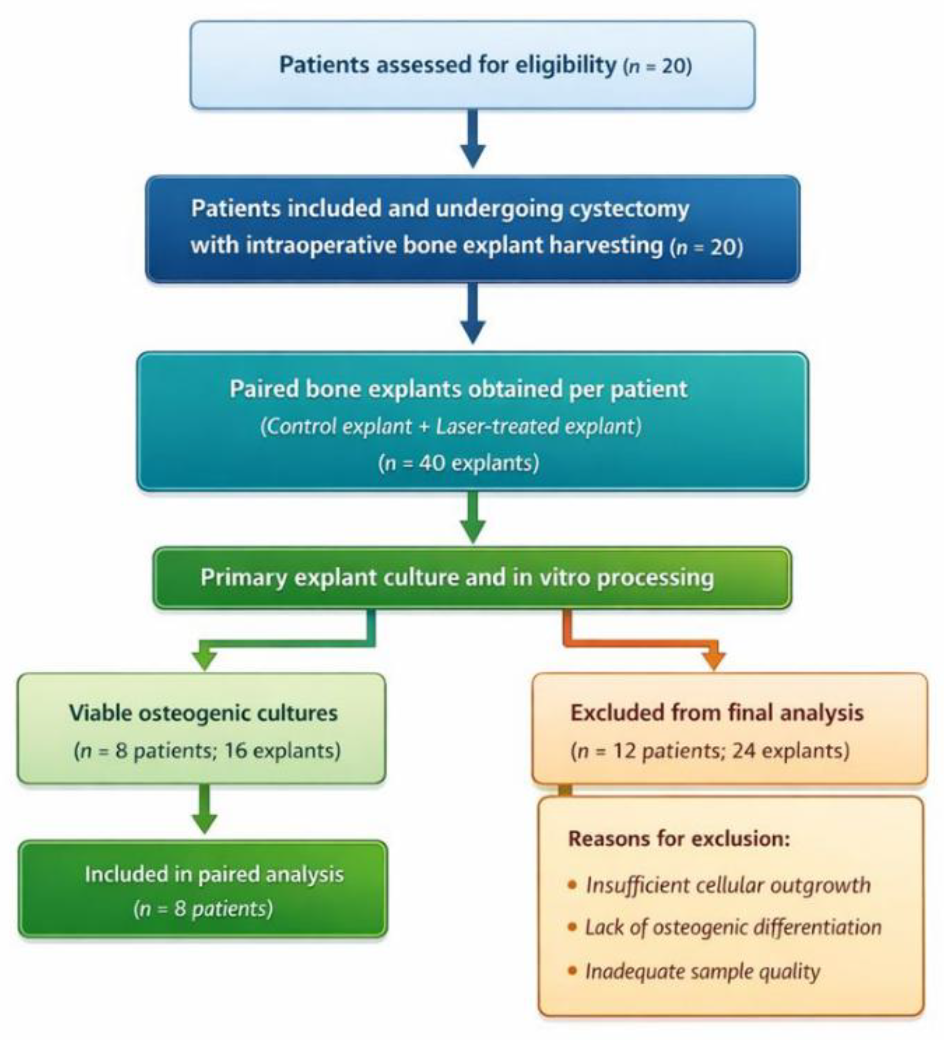 Preprints 194624 g003