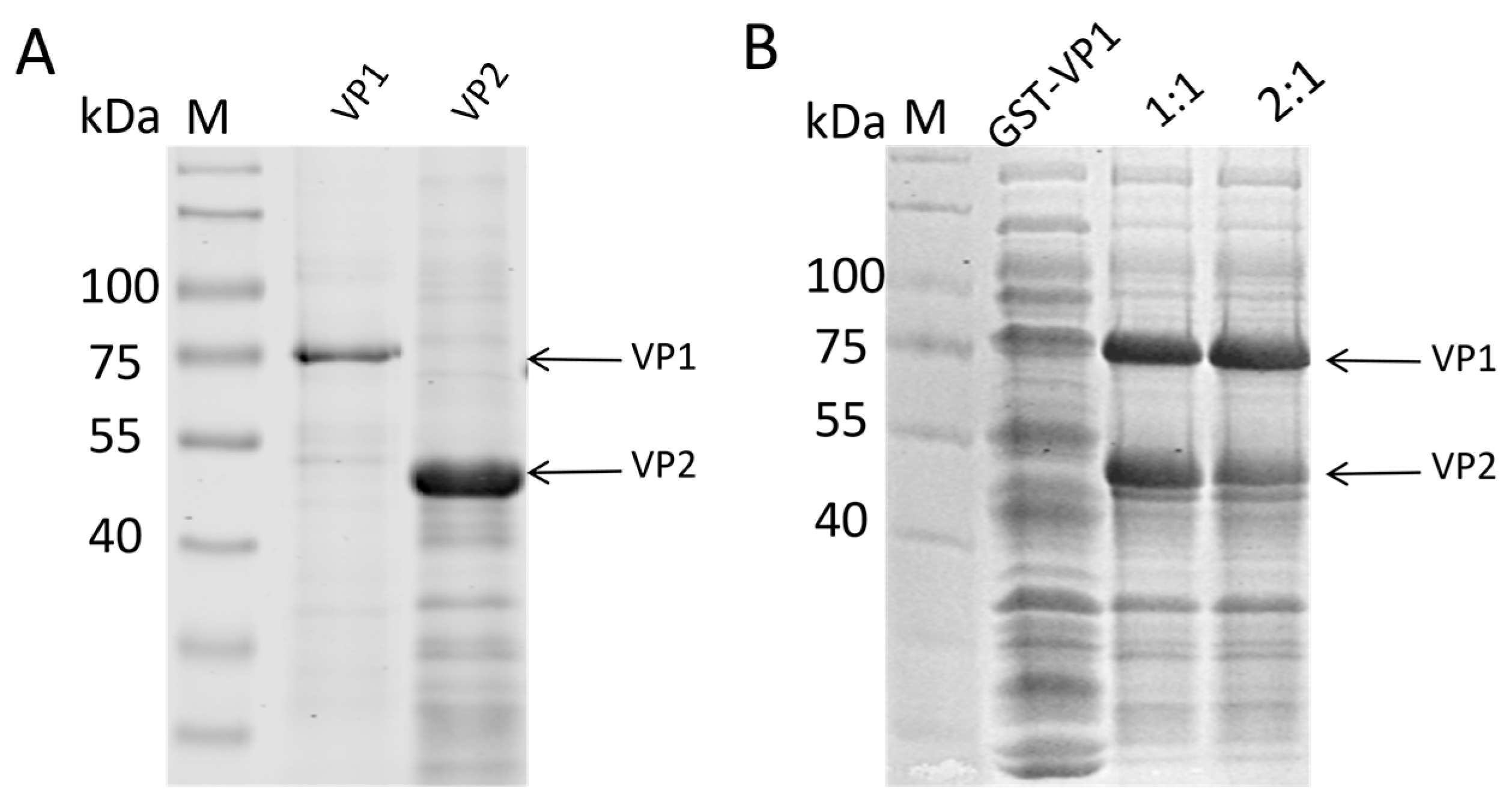 Preprints 191548 g003
