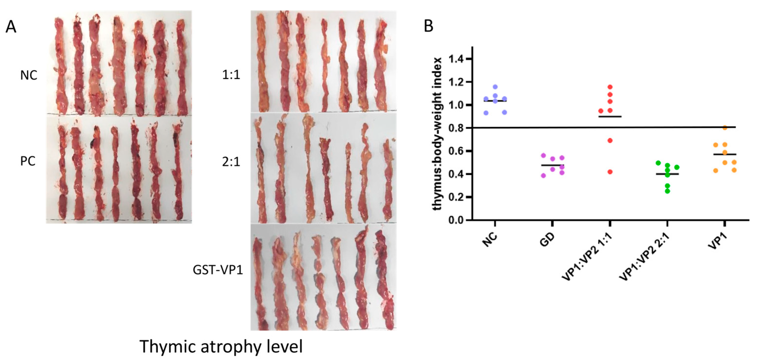 Preprints 191548 g004
