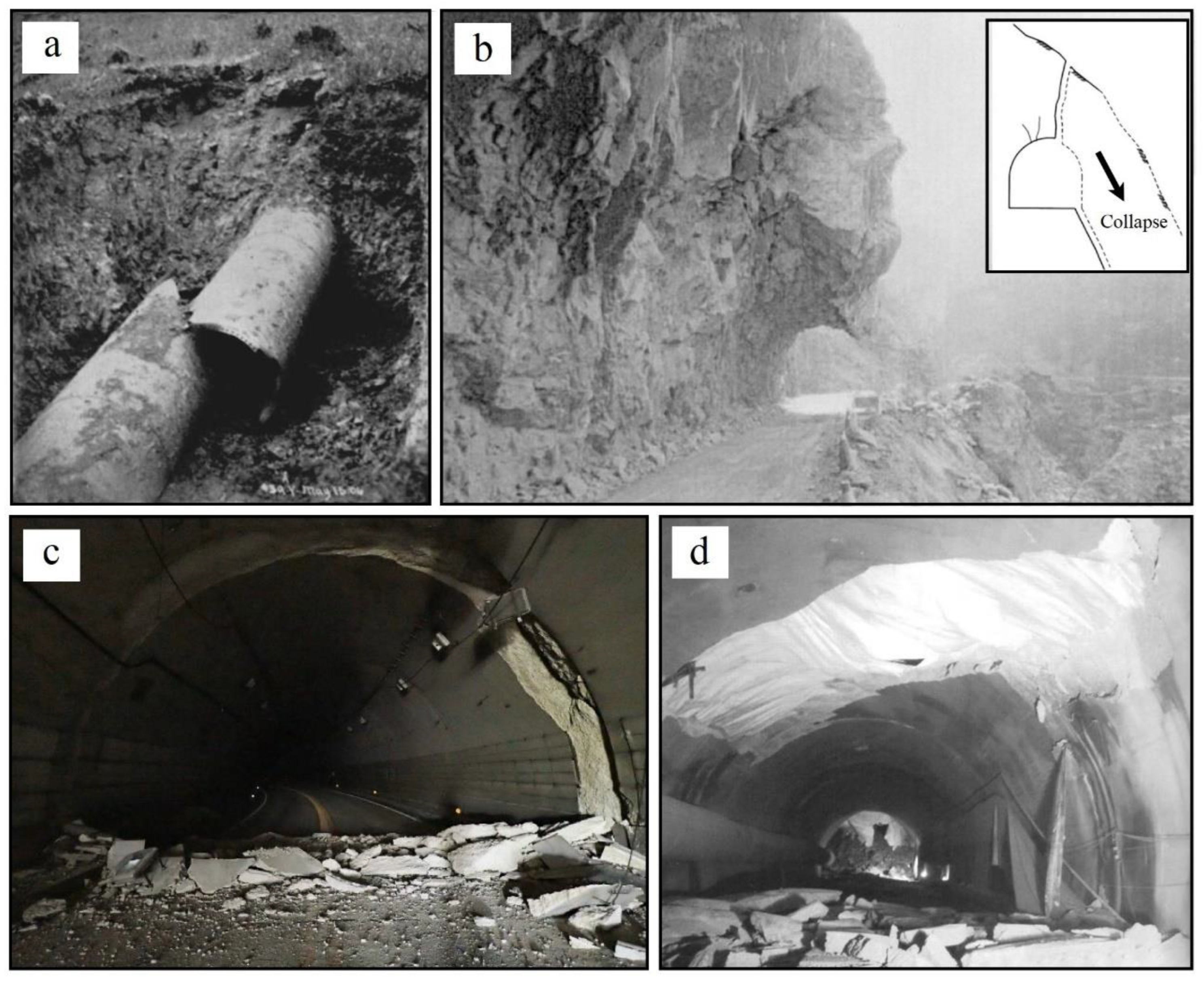 Preprints 141309 g001