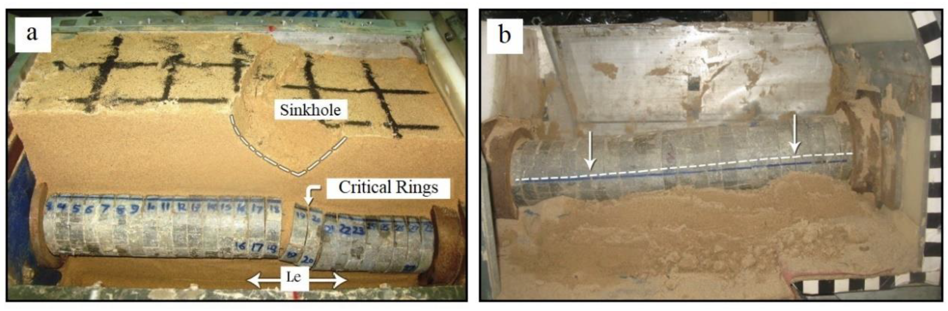 Preprints 141309 g002