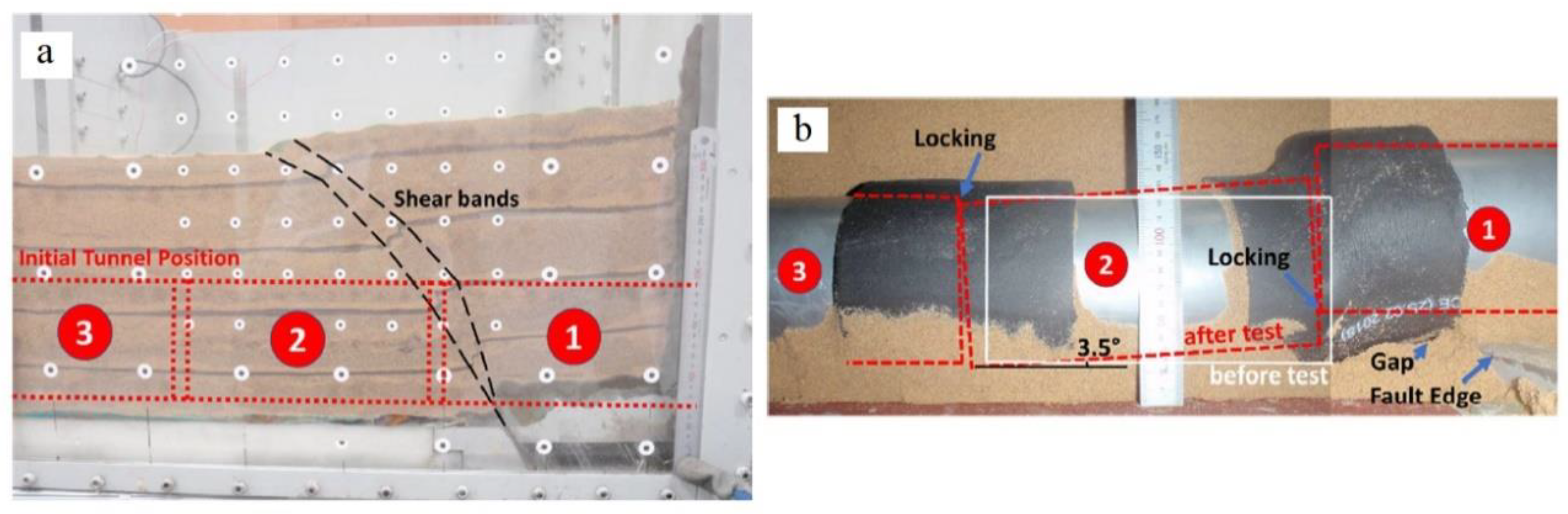 Preprints 141309 g003