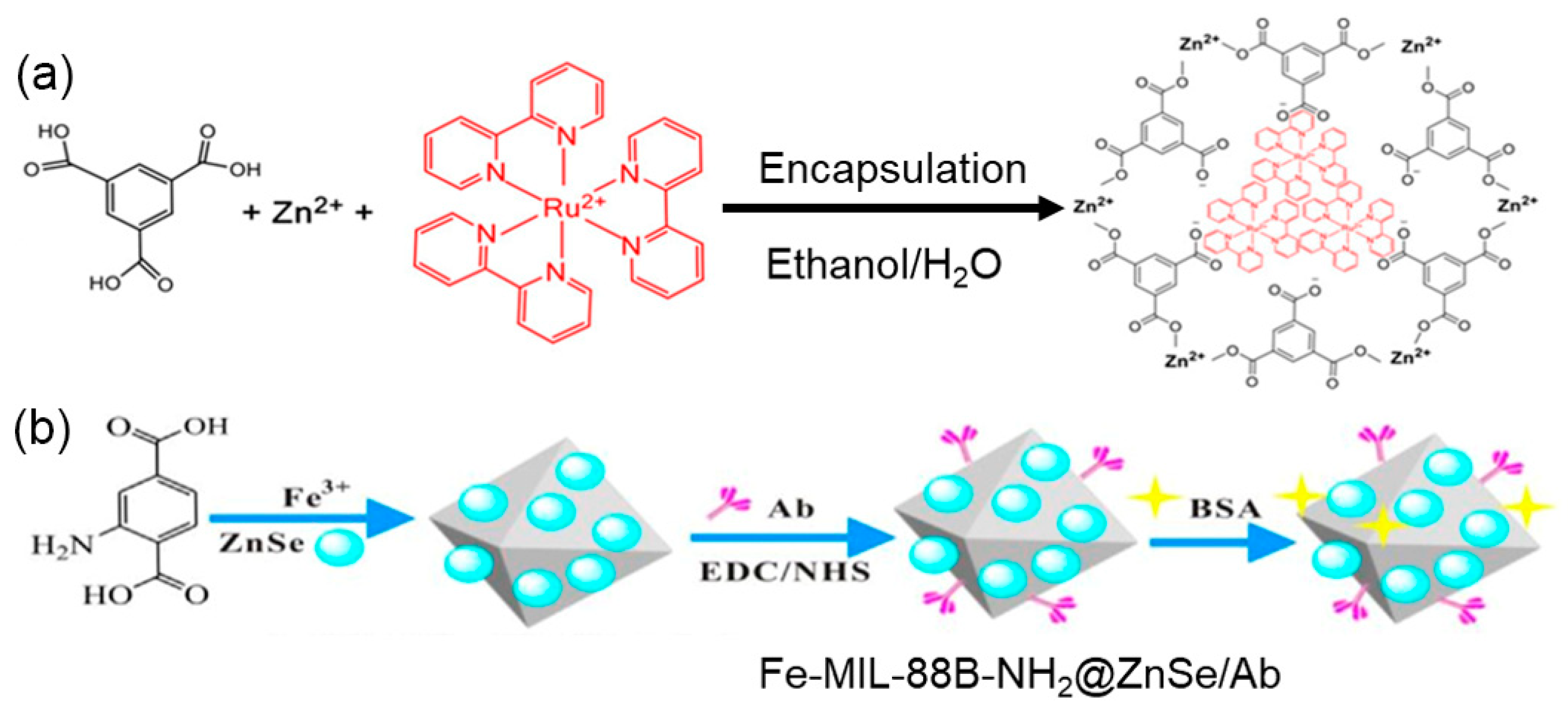 Preprints 78009 g002