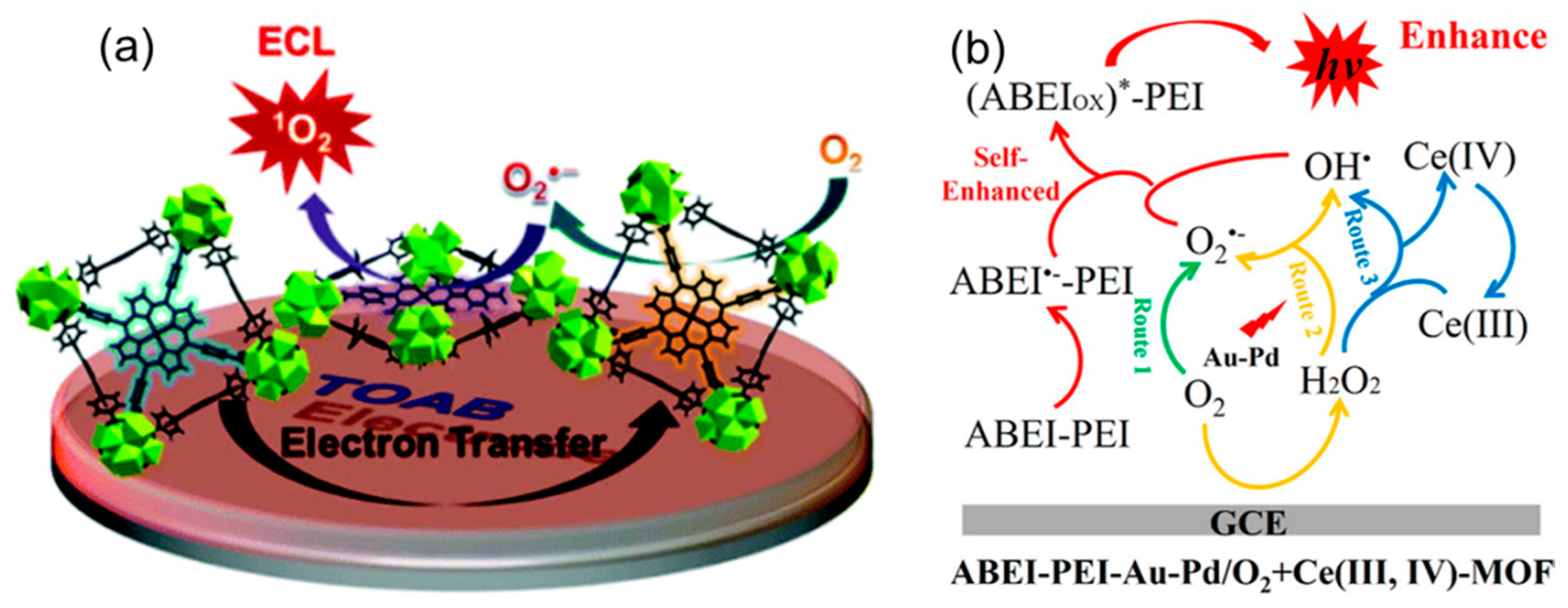Preprints 78009 g003