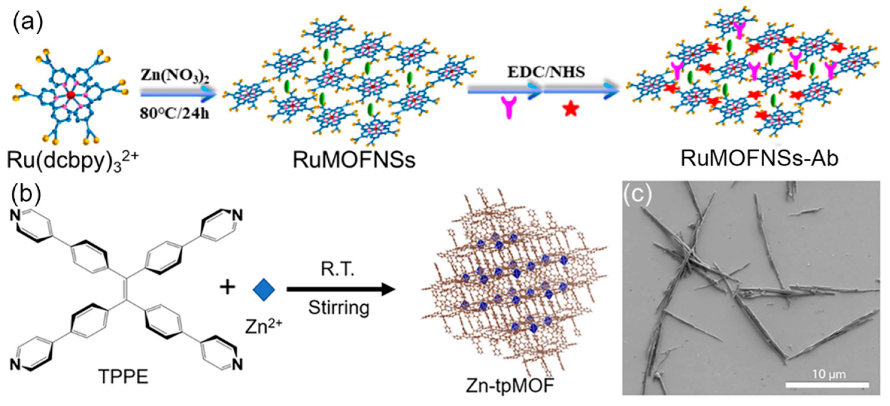 Preprints 78009 g004