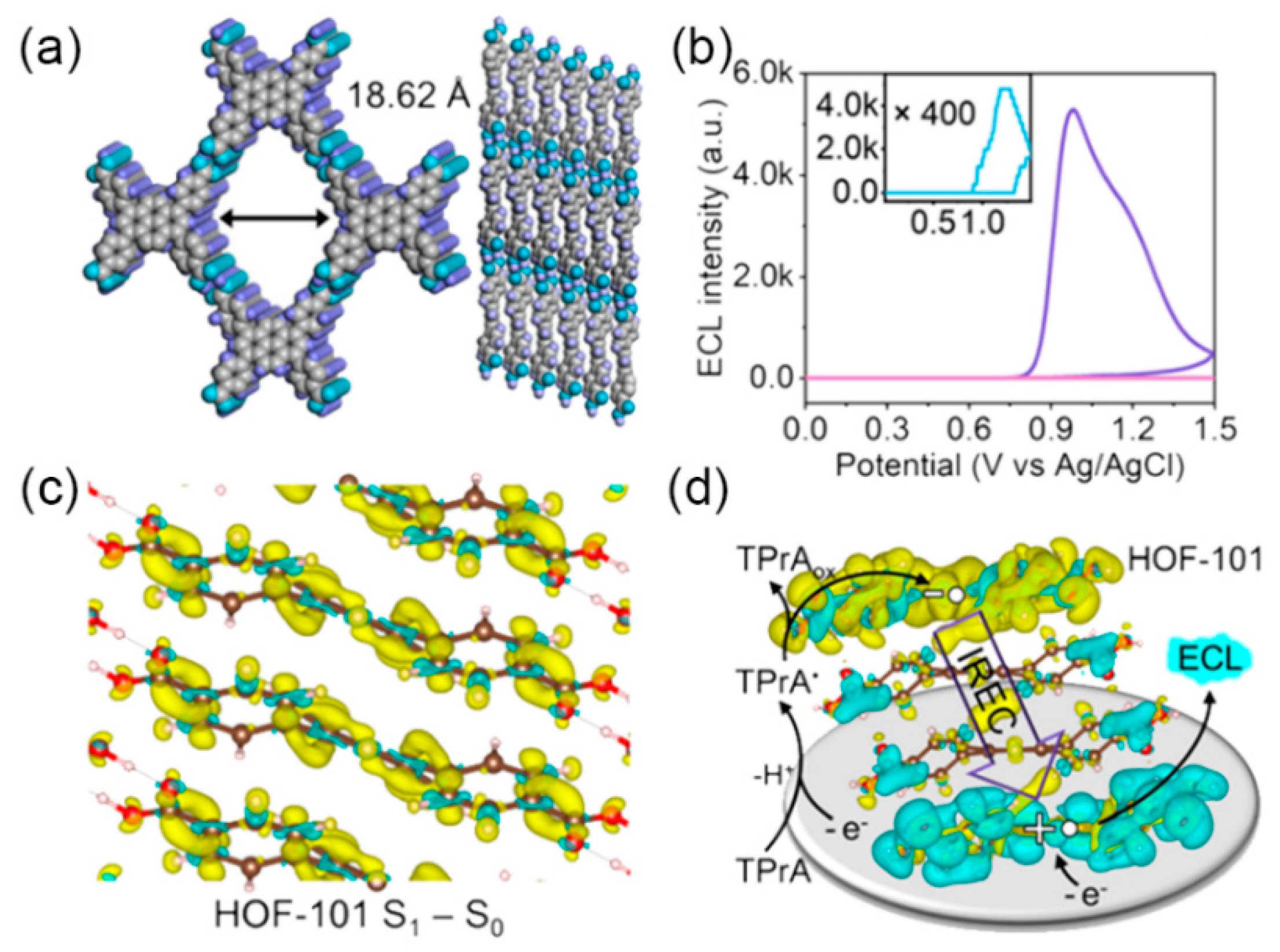 Preprints 78009 g007