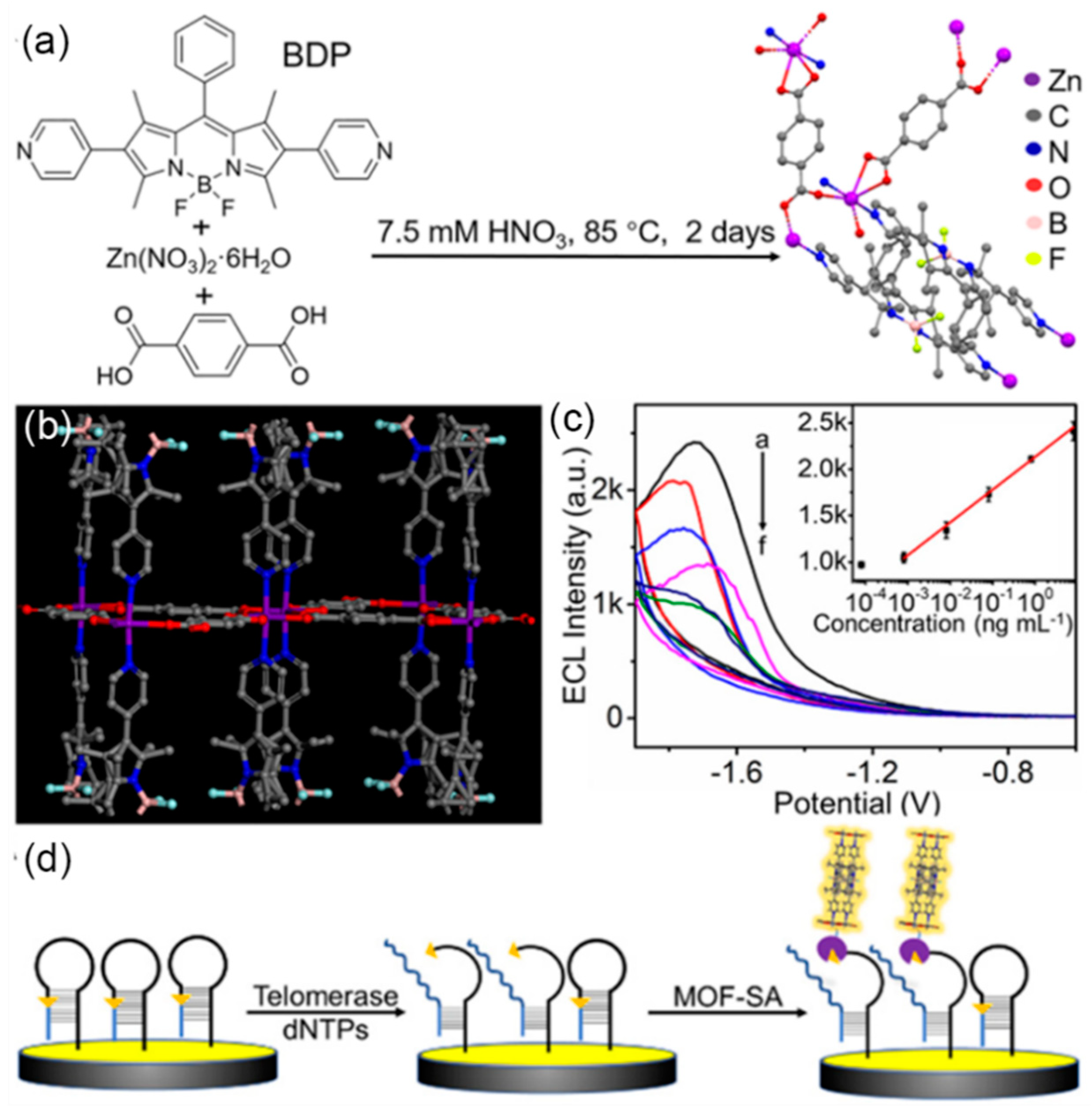 Preprints 78009 g009