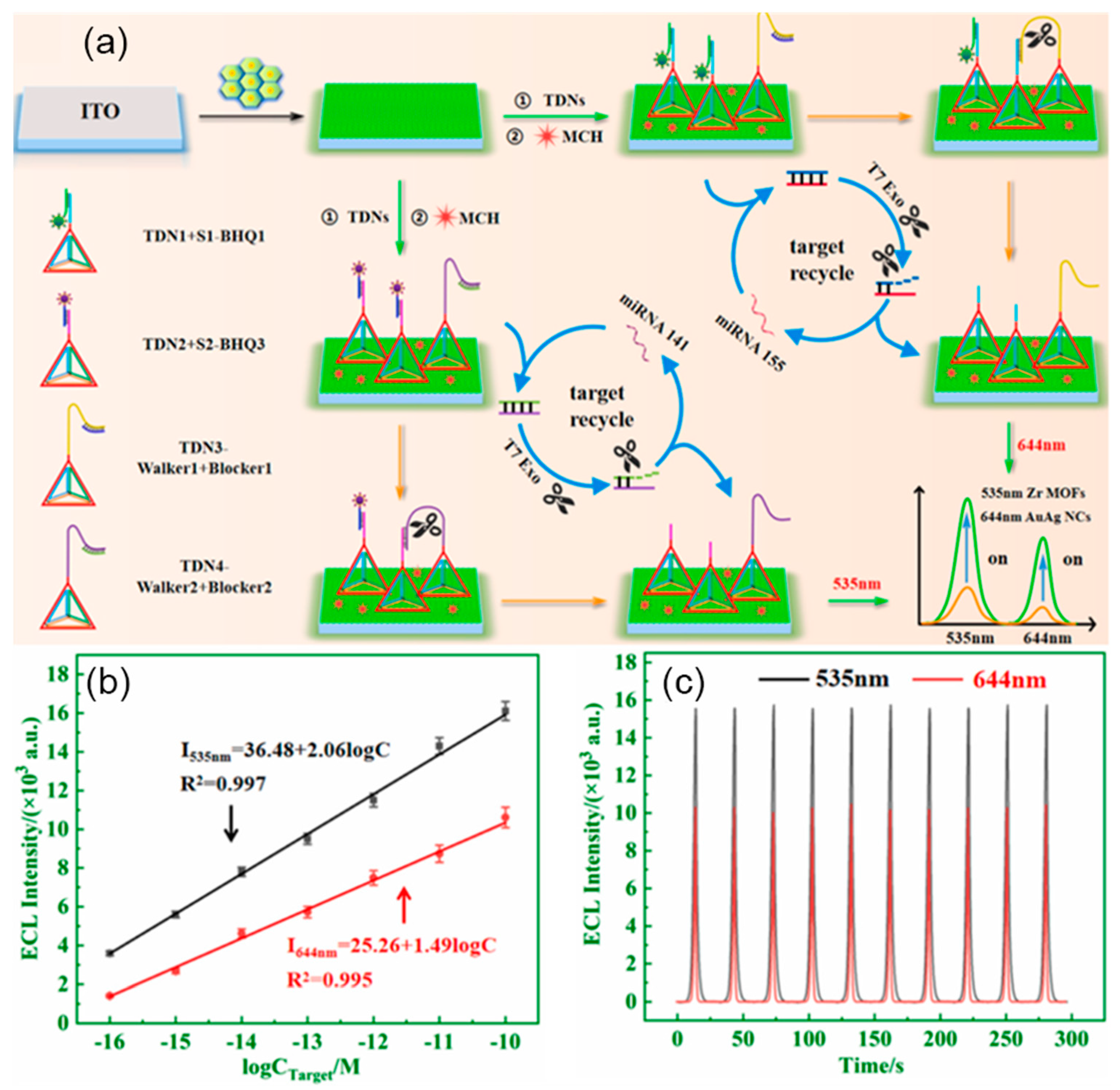 Preprints 78009 g010