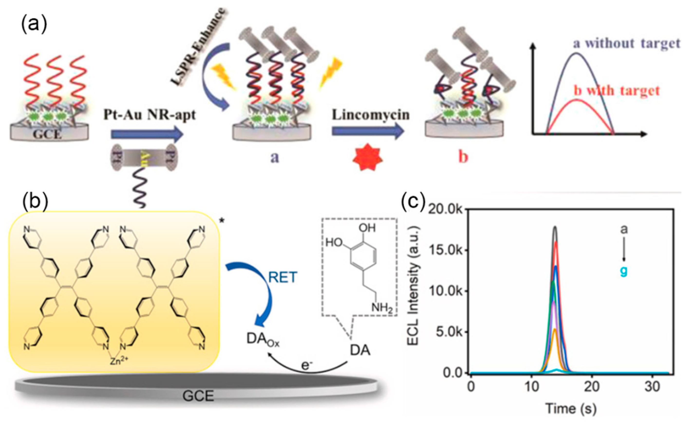 Preprints 78009 g011