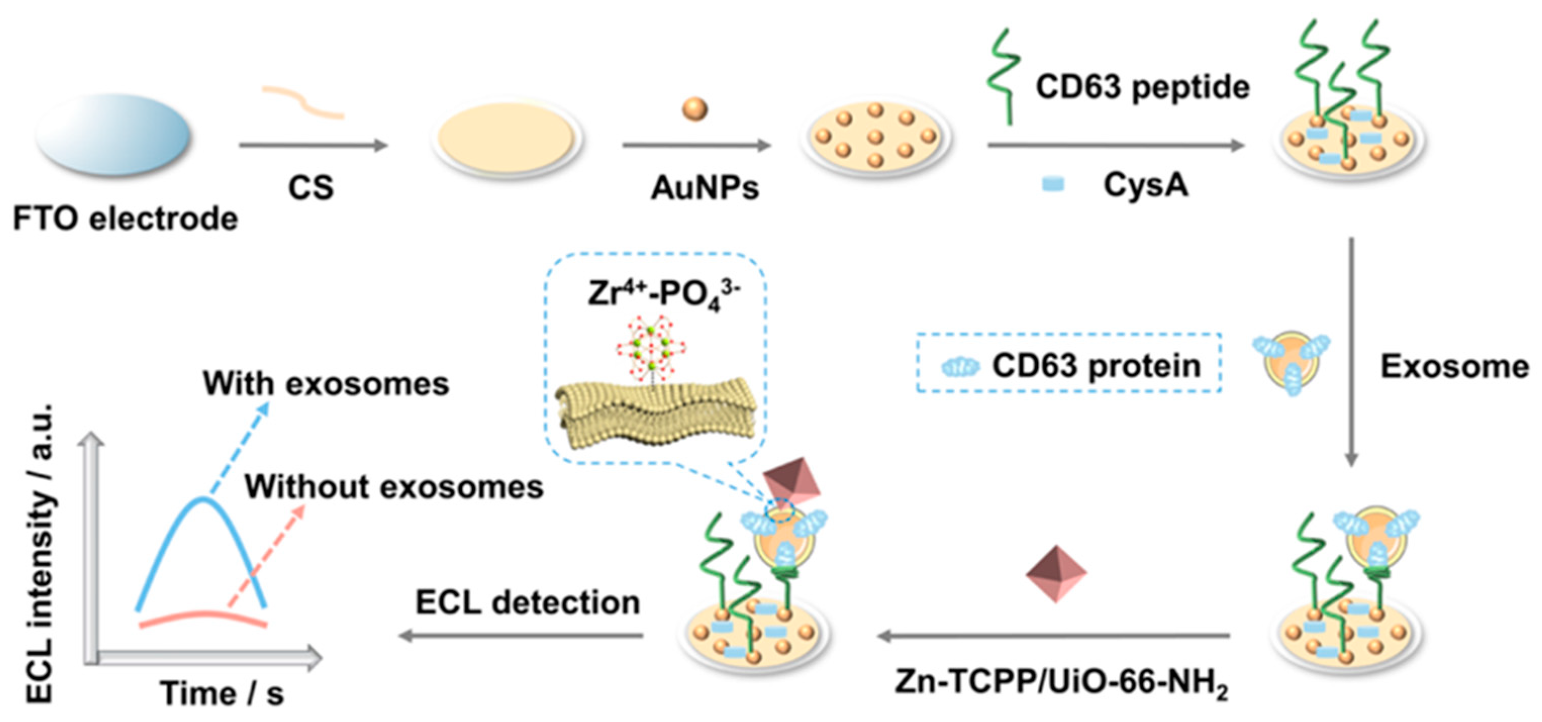Preprints 78009 g012