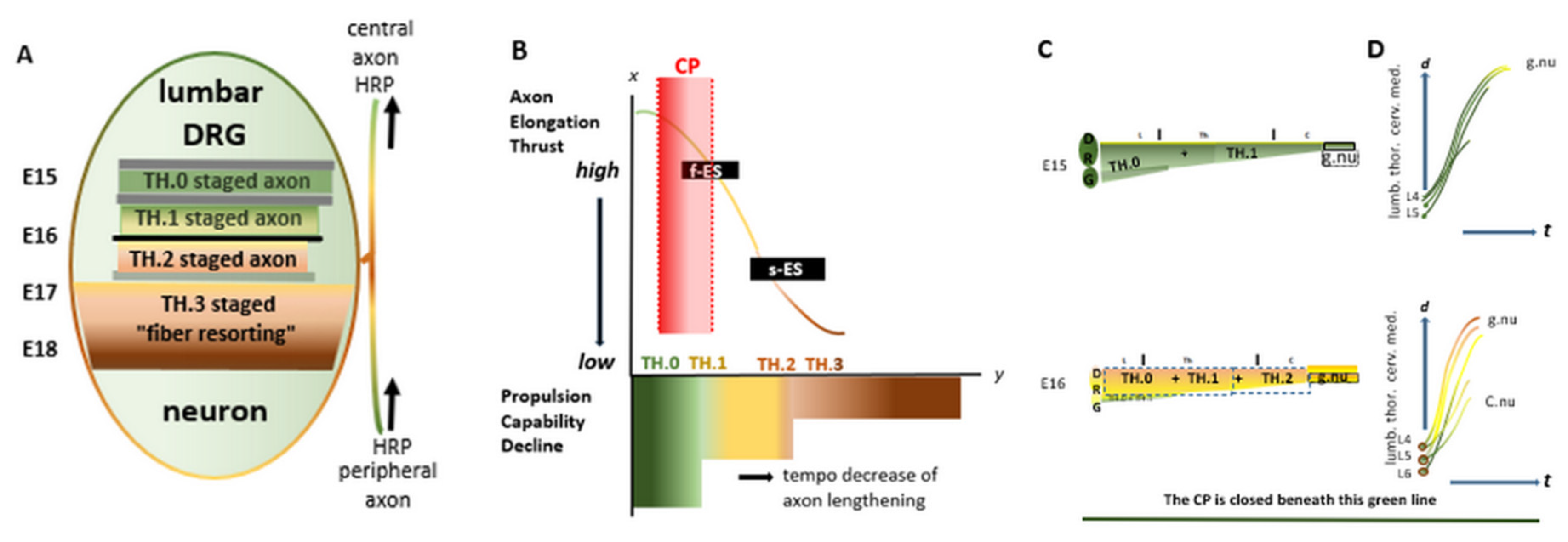 Preprints 144604 g001