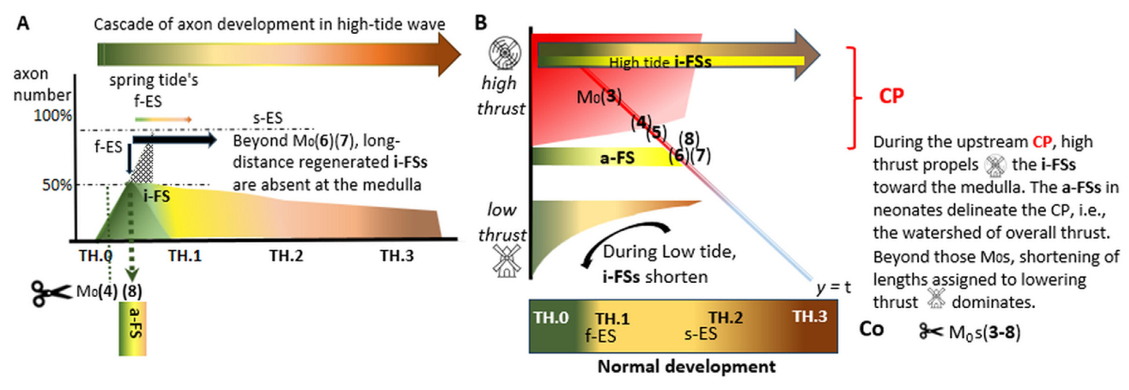 Preprints 144604 g002