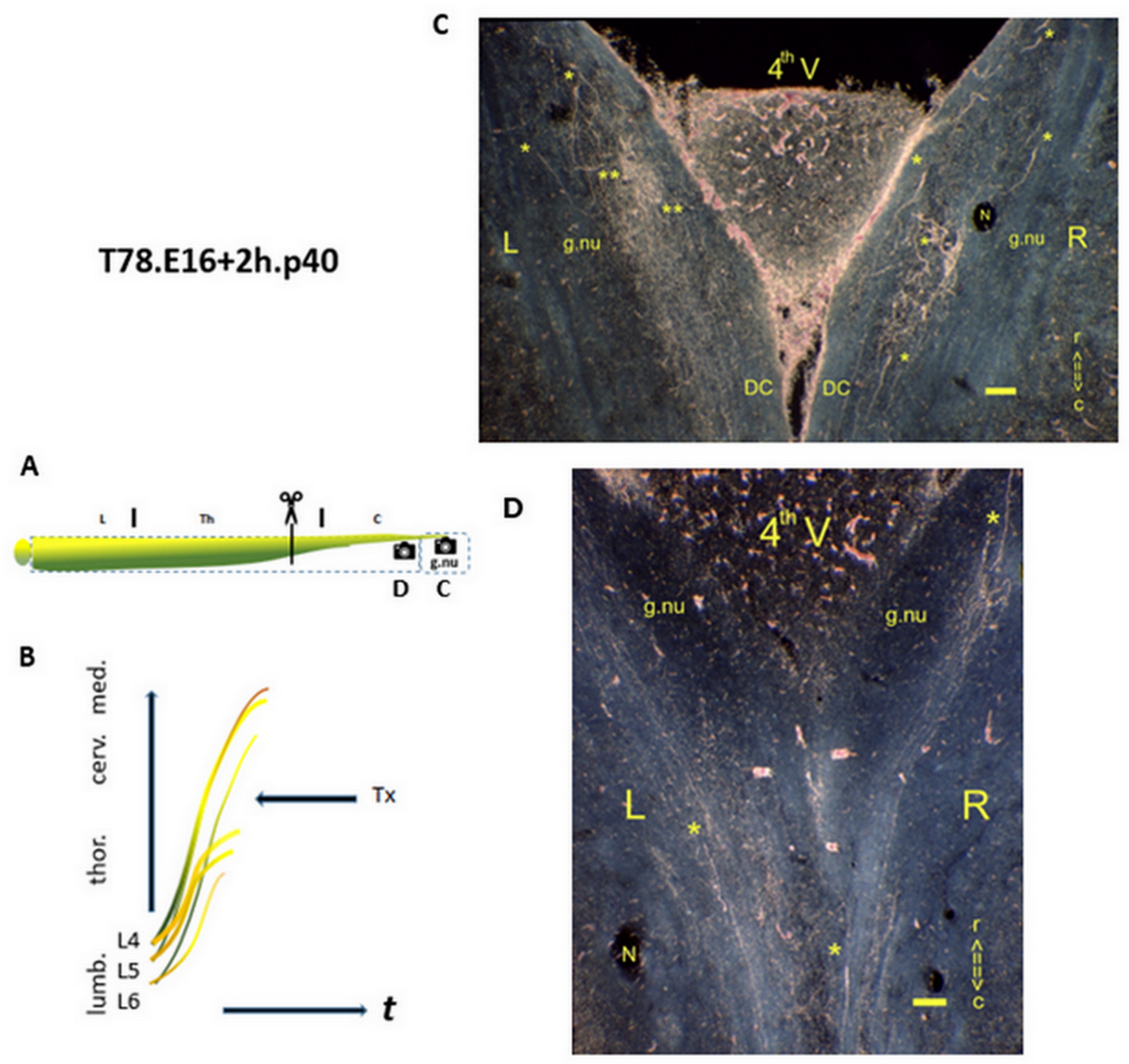 Preprints 144604 g003
