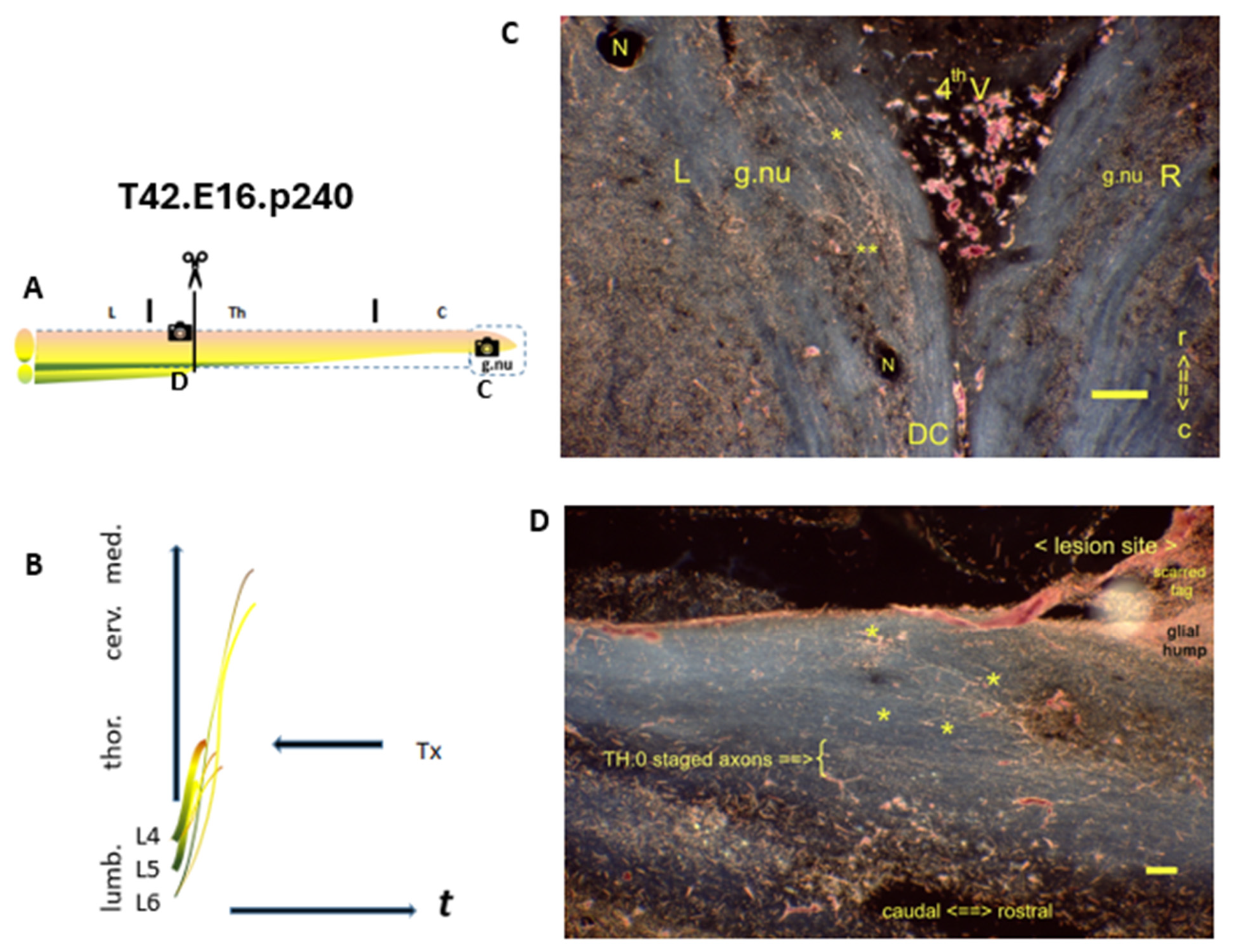Preprints 144604 g004