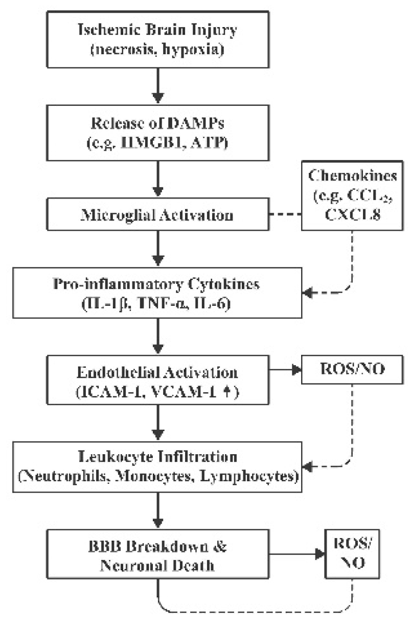 Preprints 167702 g002