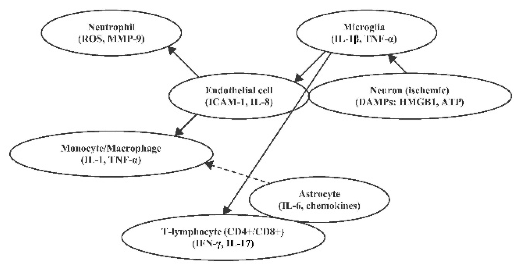 Preprints 167702 g003