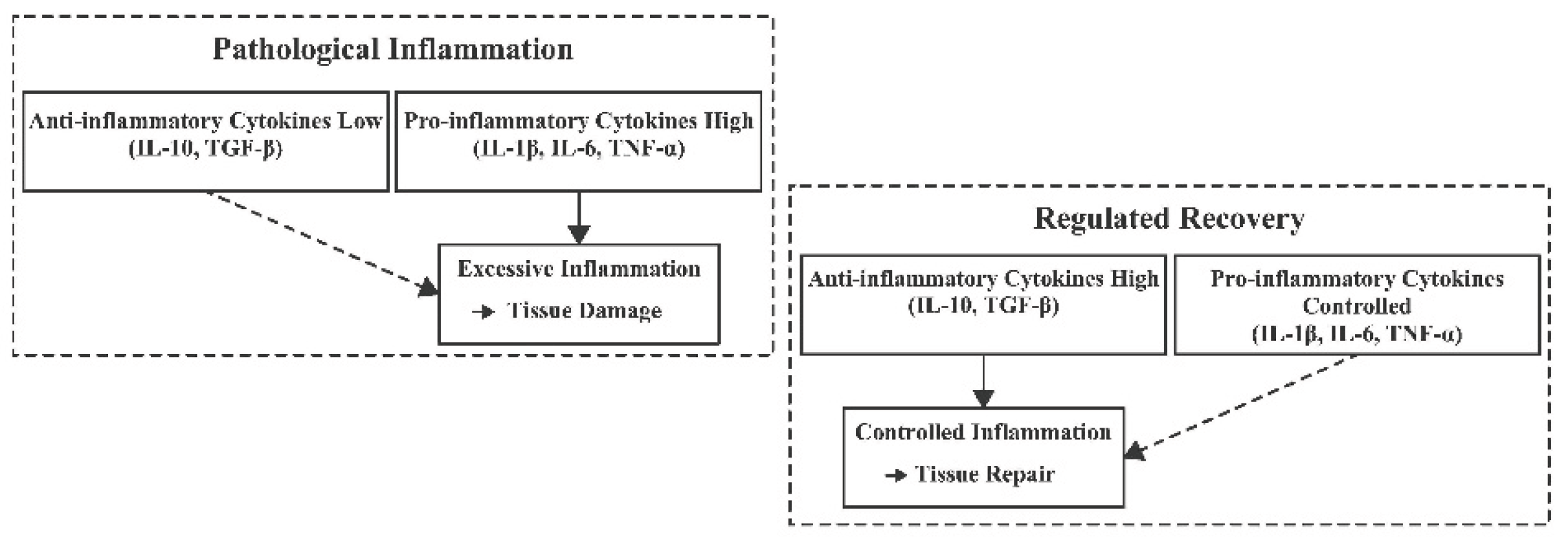 Preprints 167702 g004