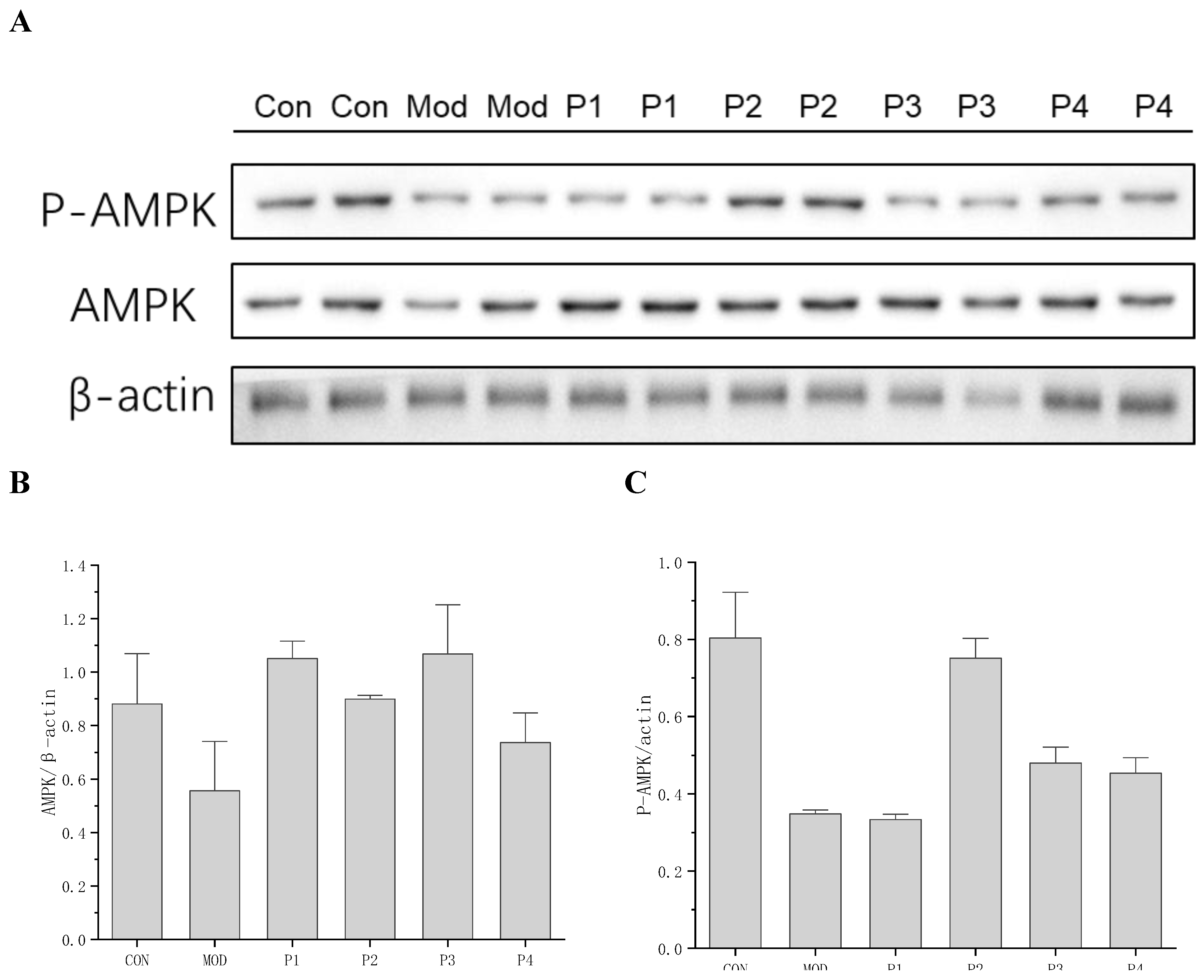 Preprints 190324 g006