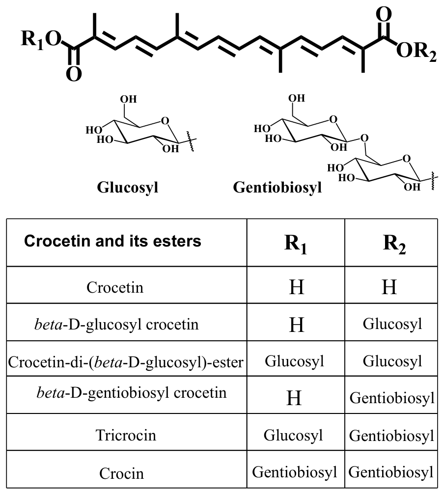 Preprints 217016 g002