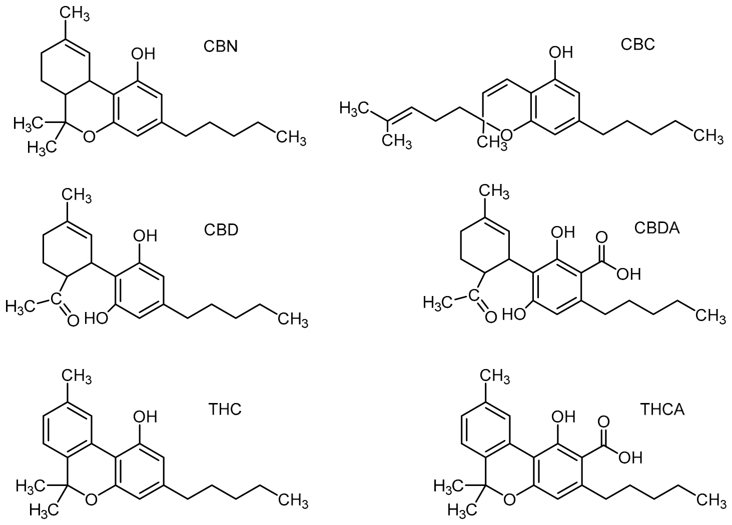 Preprints 217016 g004