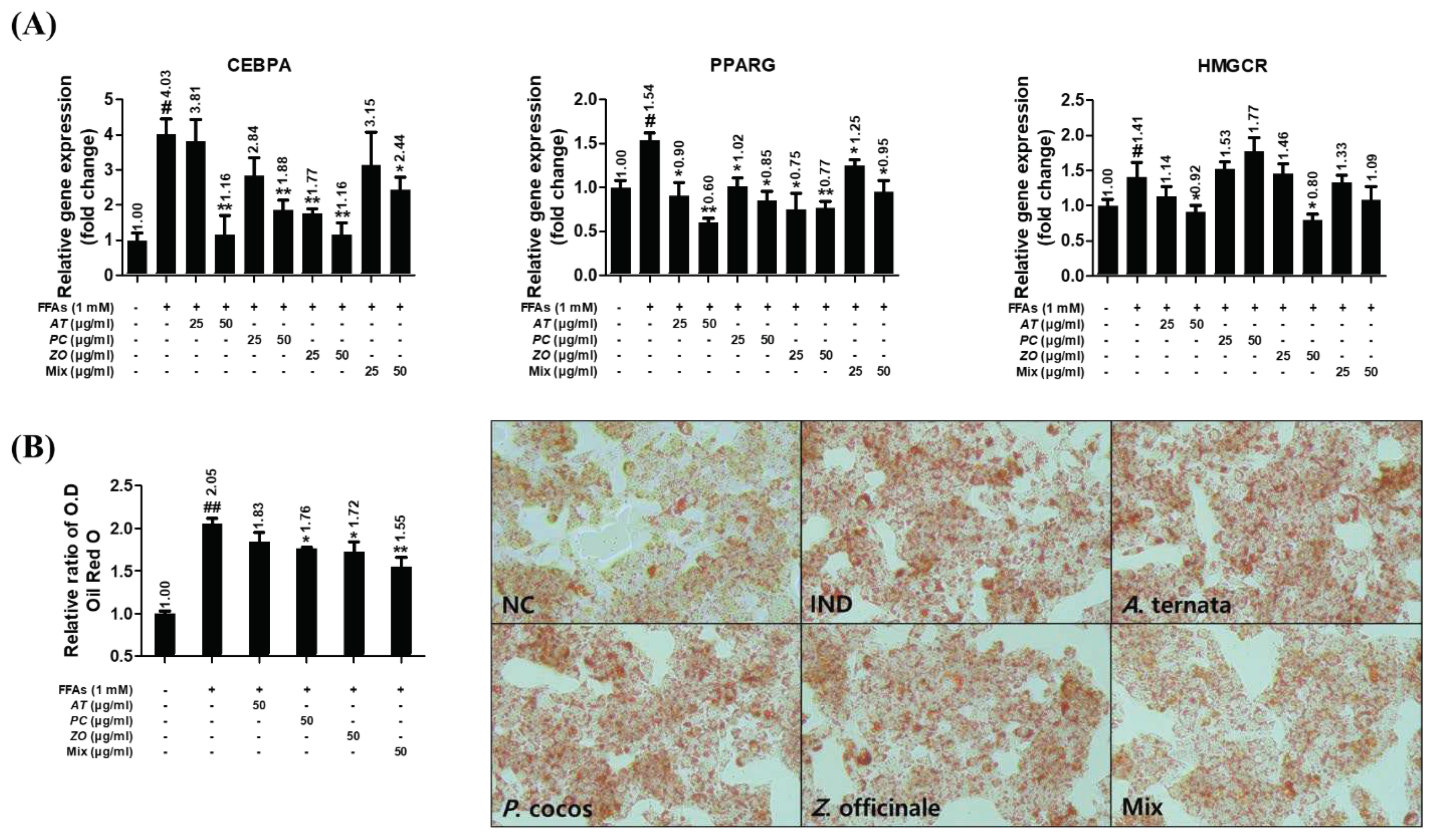 Preprints 67441 g008