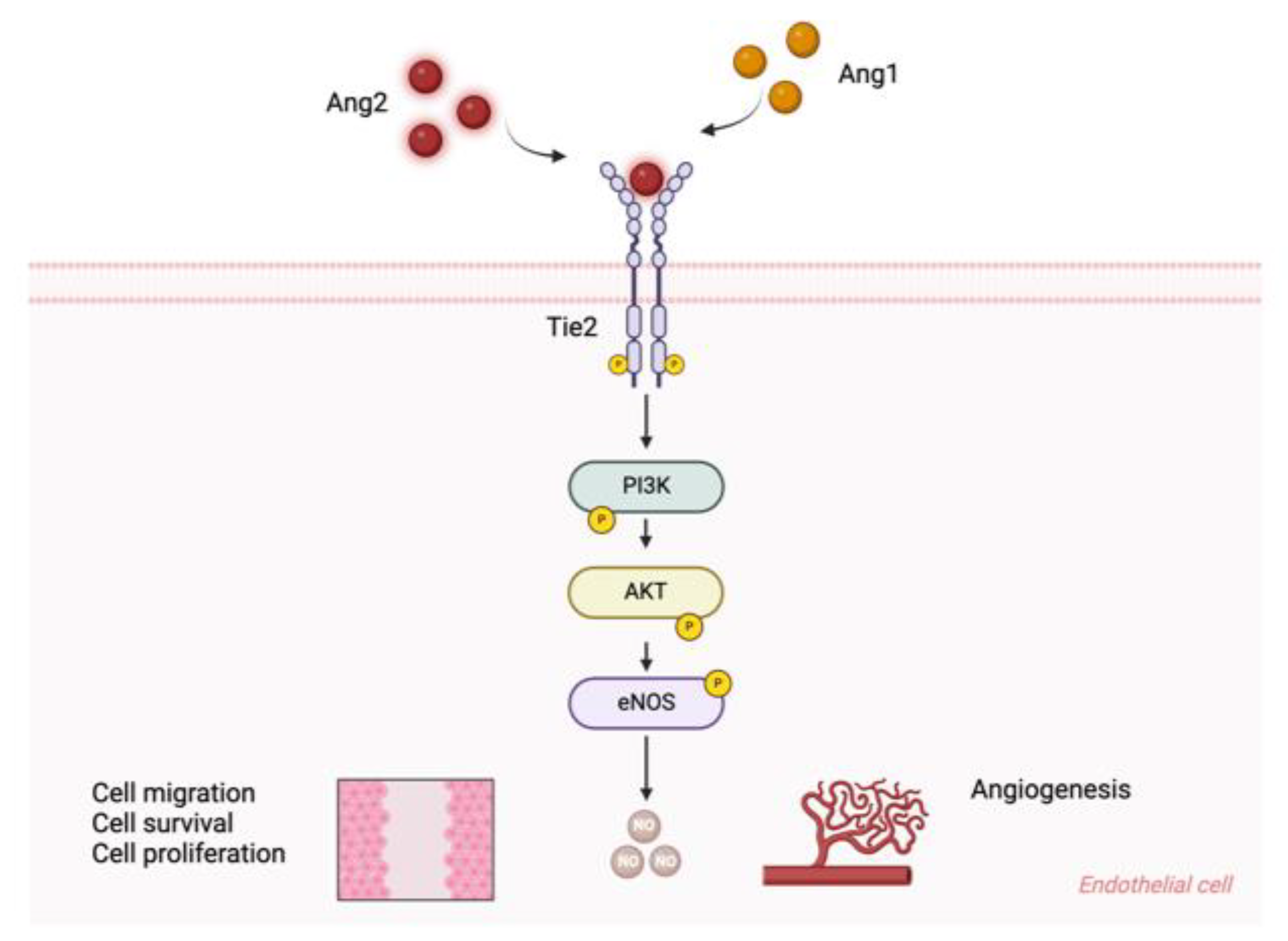 Preprints 139715 g002