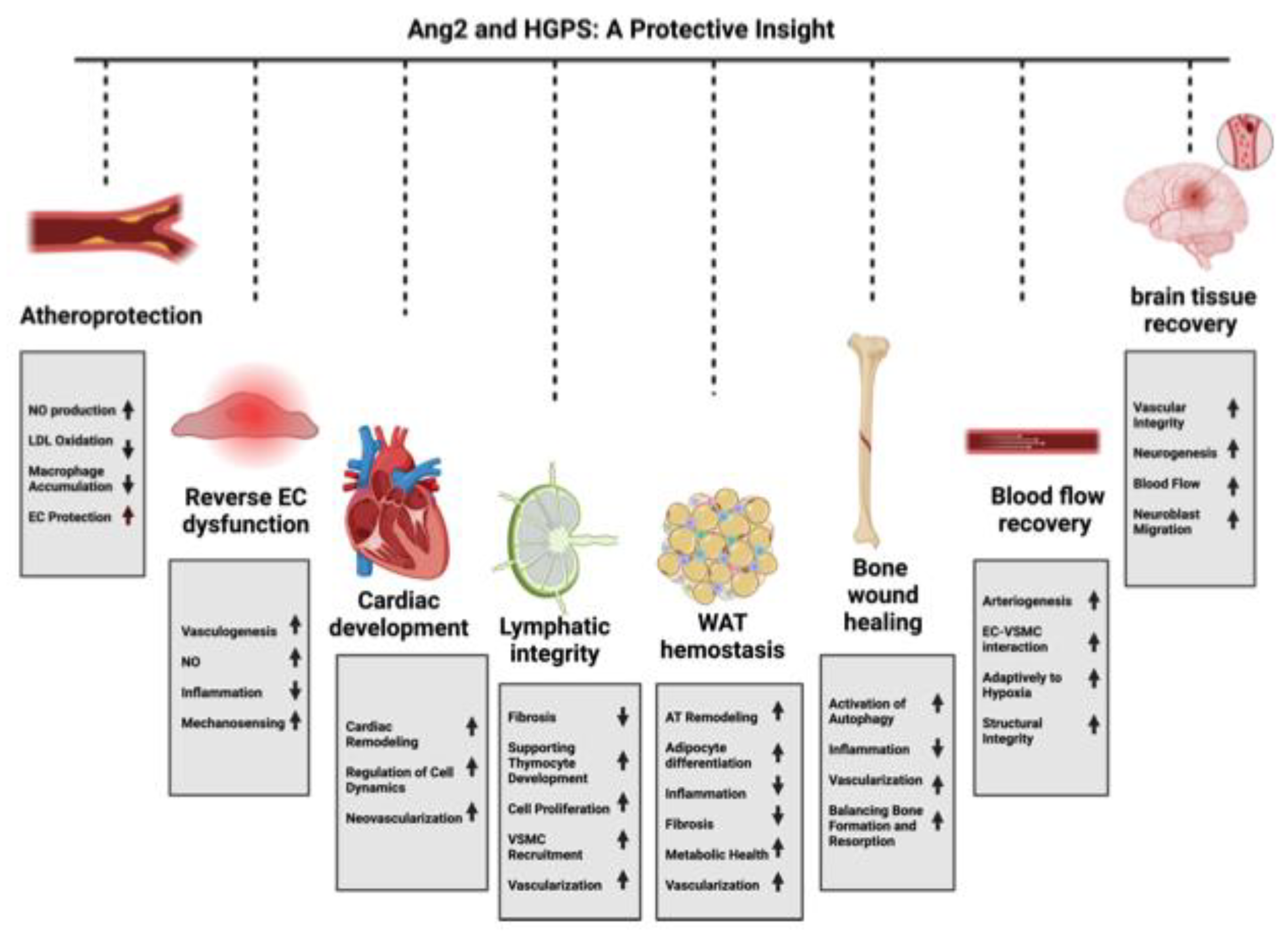 Preprints 139715 g003