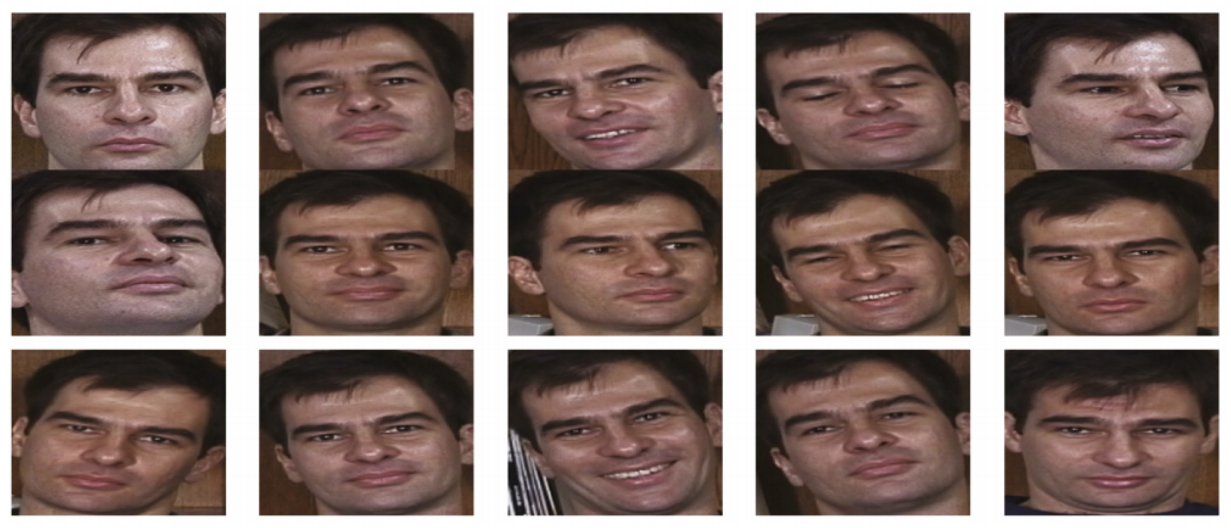 Preprints 154092 g001