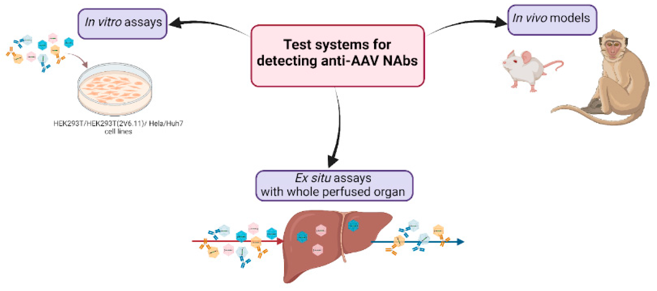 Preprints 142304 g001